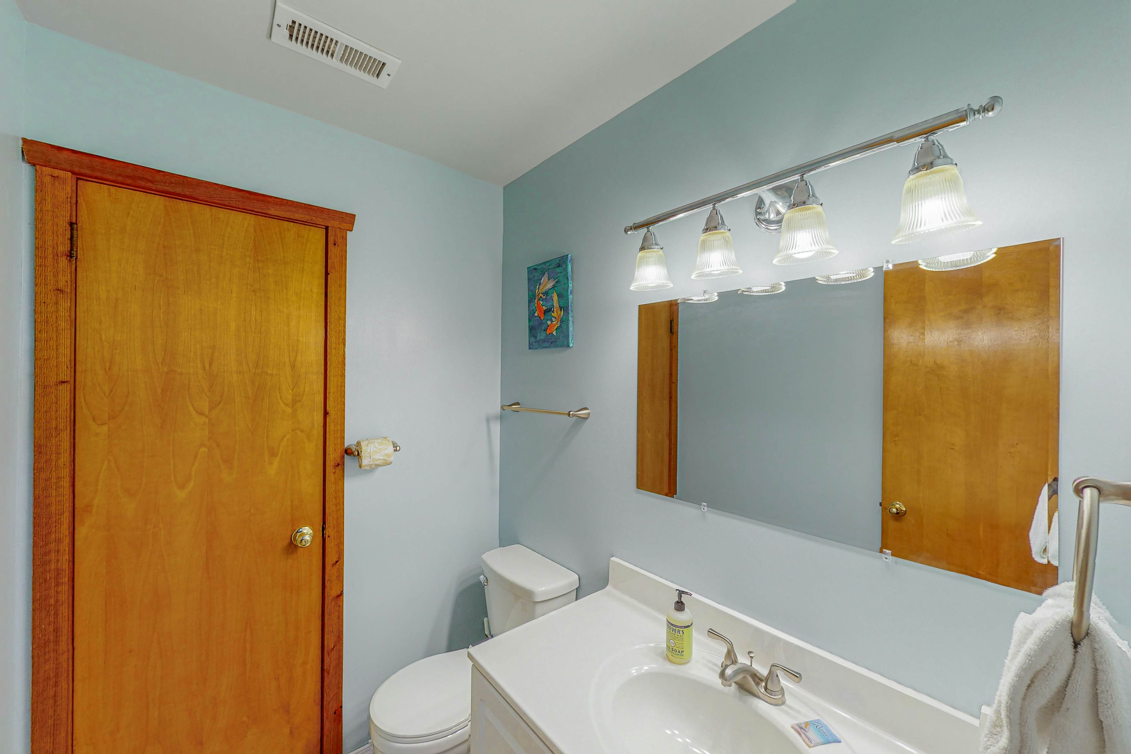 AVHC13 Sand Dollar  #13-HC