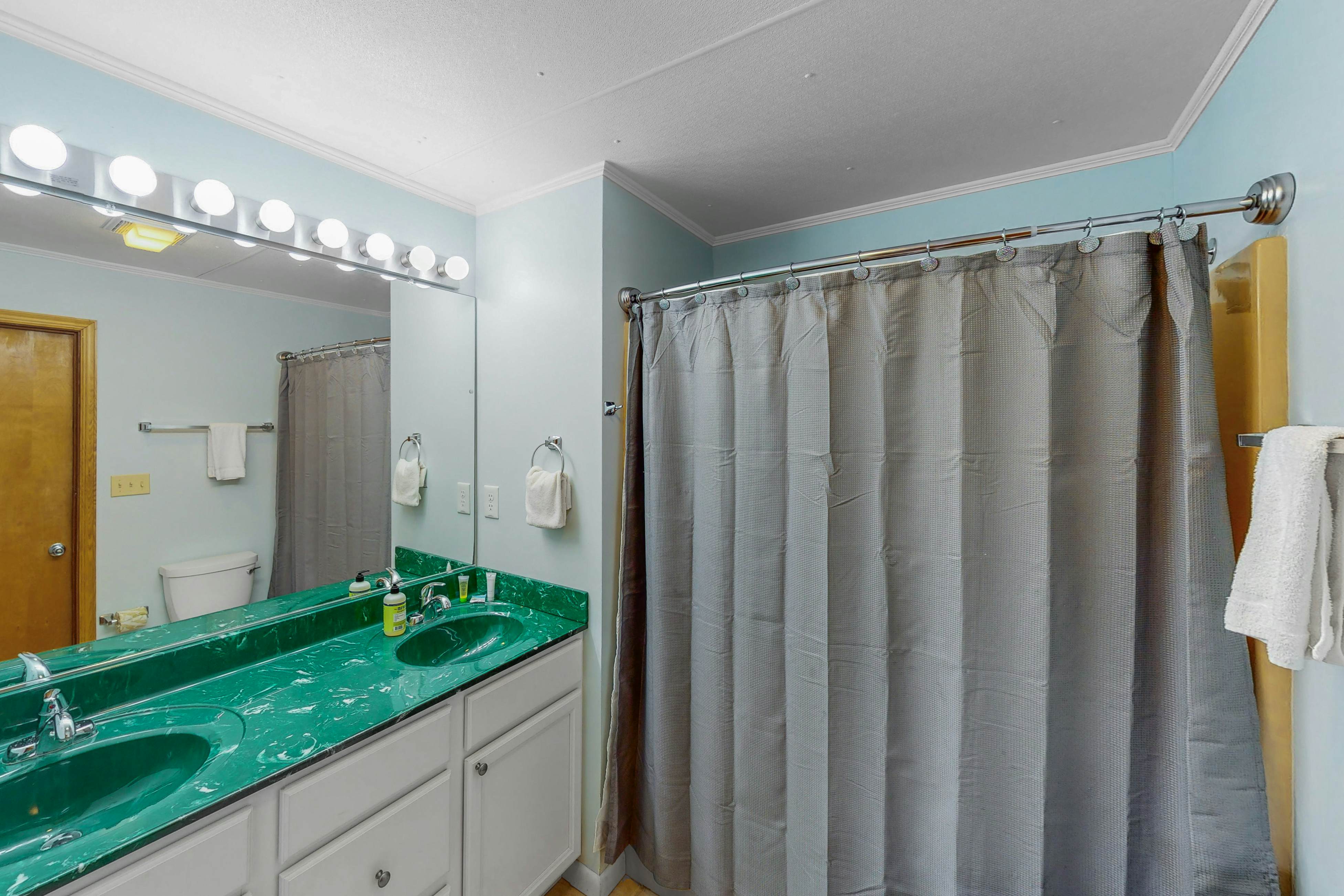 AVHC13 Sand Dollar  #13-HC