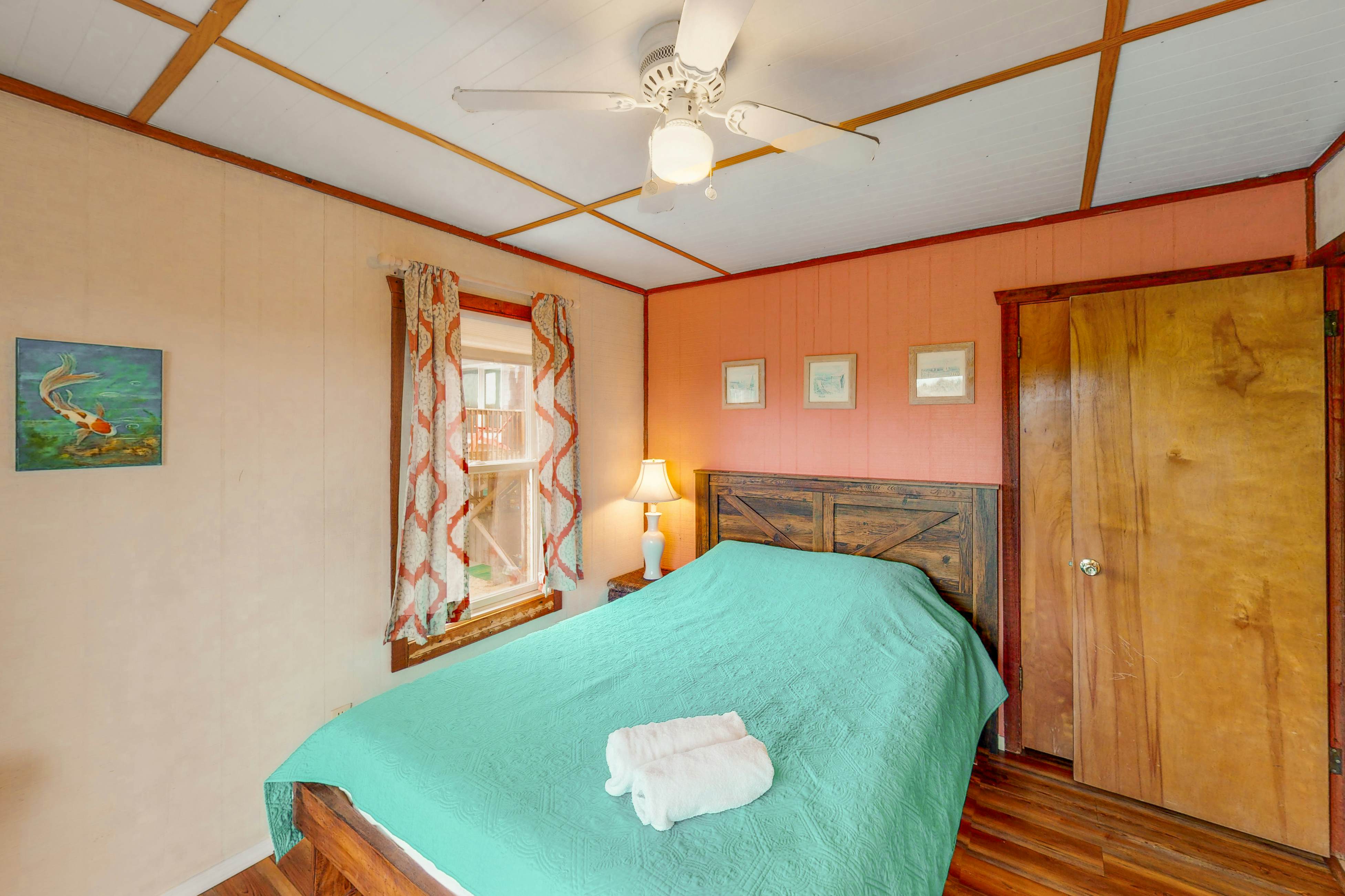 AVHC13 Sand Dollar  #13-HC