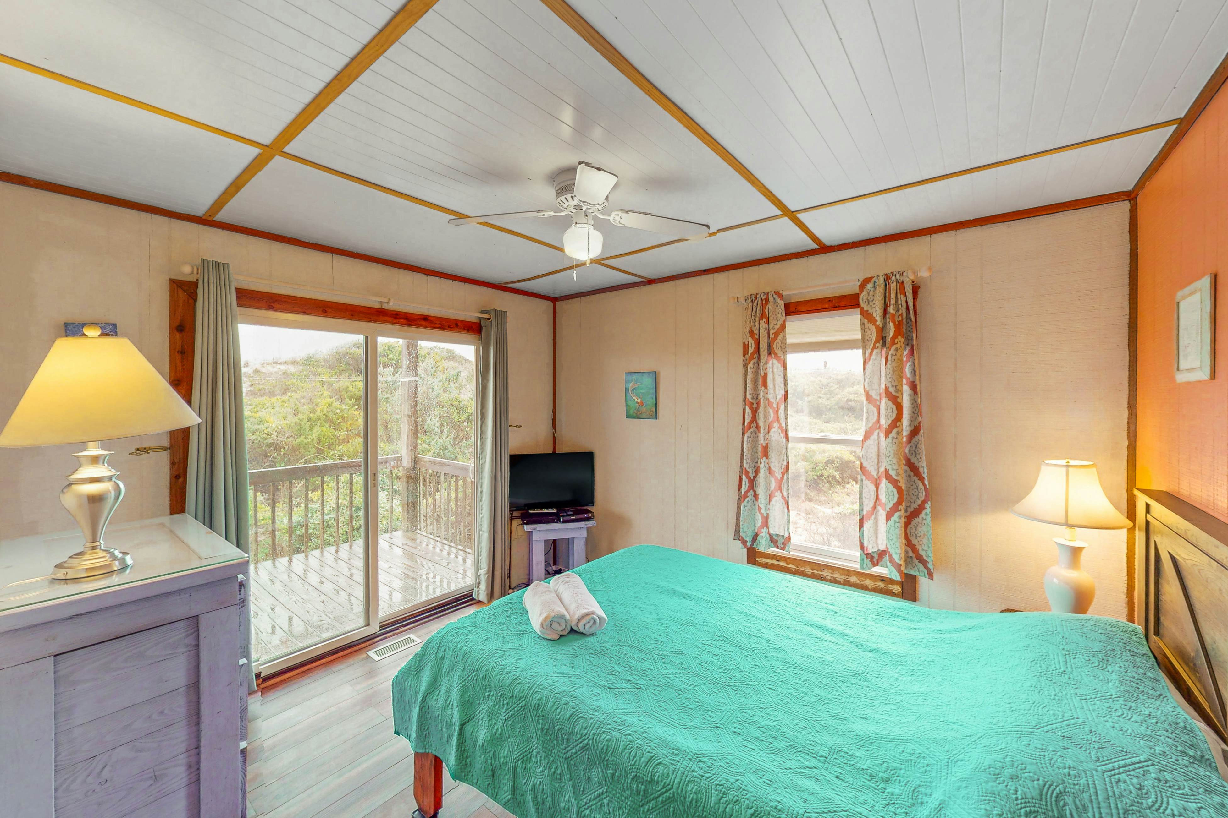 AVHC13 Sand Dollar  #13-HC