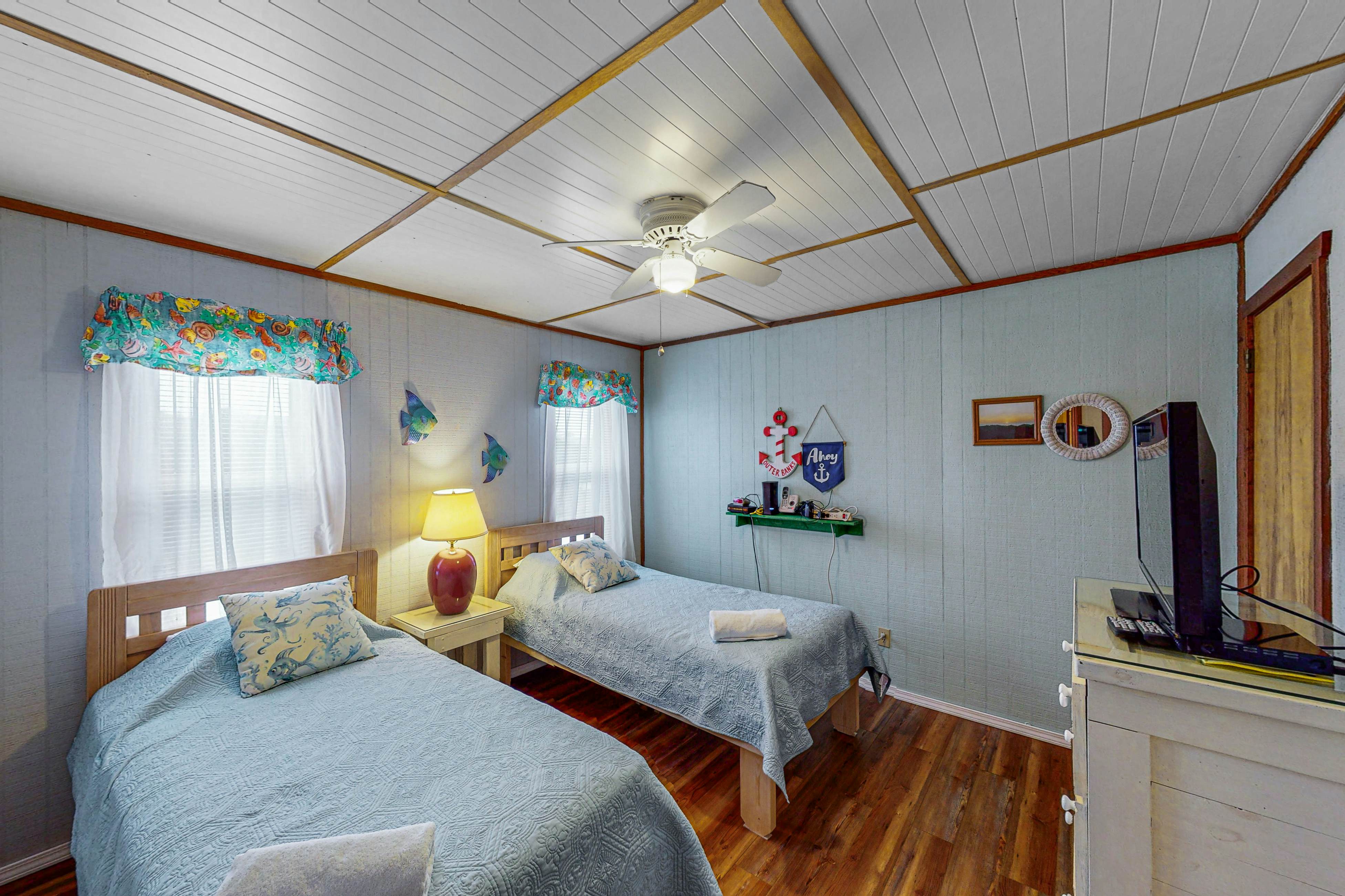 AVHC13 Sand Dollar  #13-HC