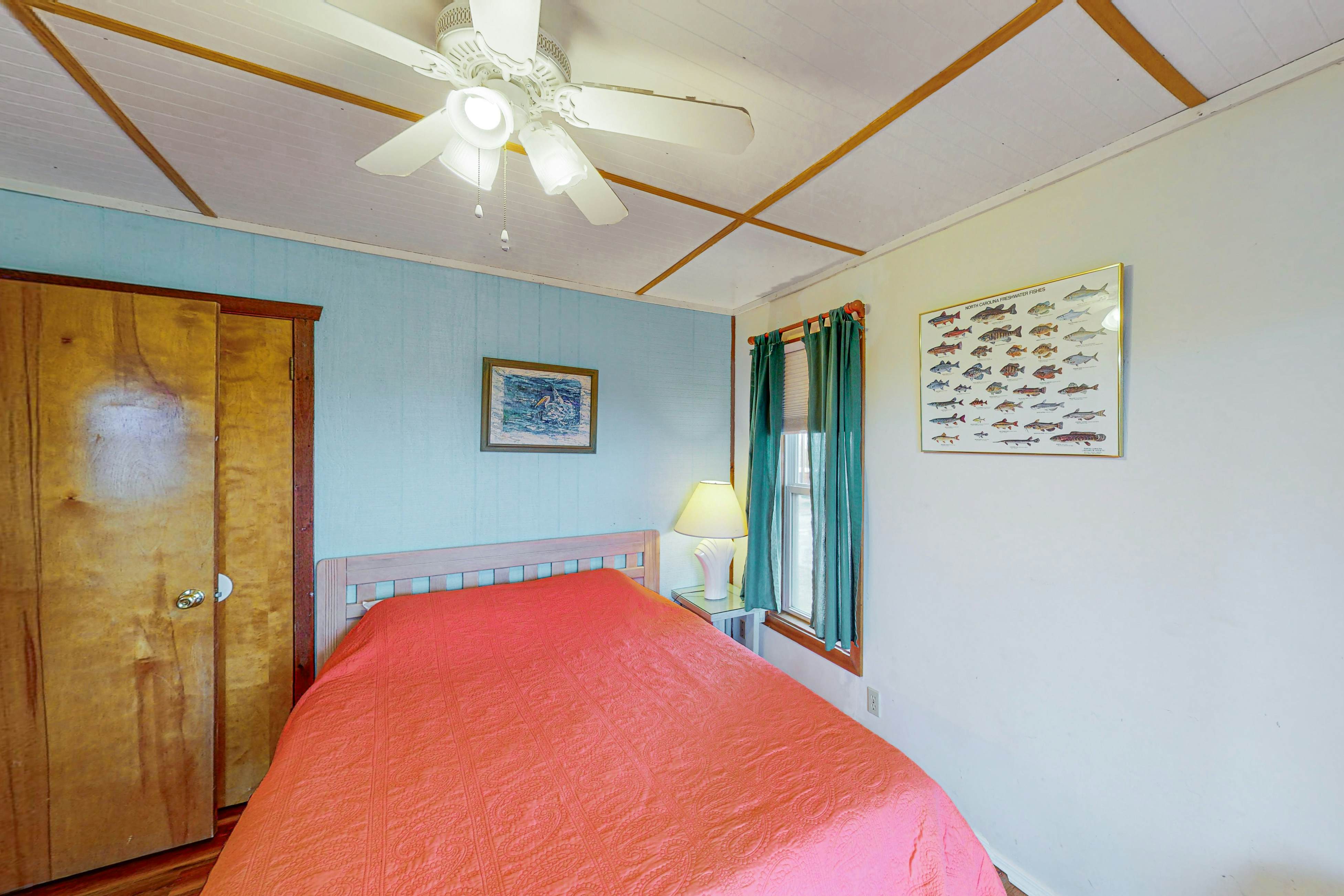 AVHC13 Sand Dollar  #13-HC