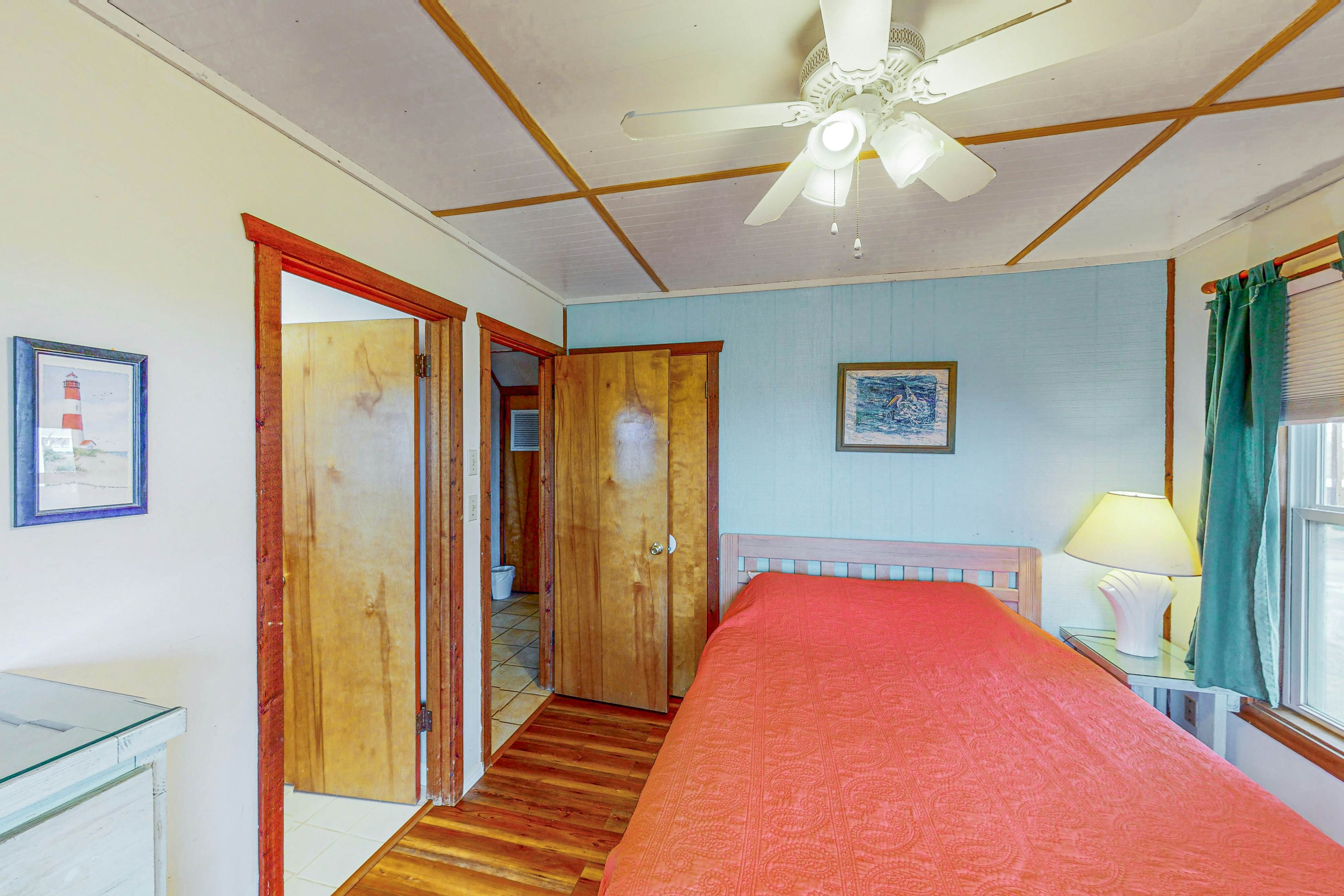 AVHC13 Sand Dollar  #13-HC