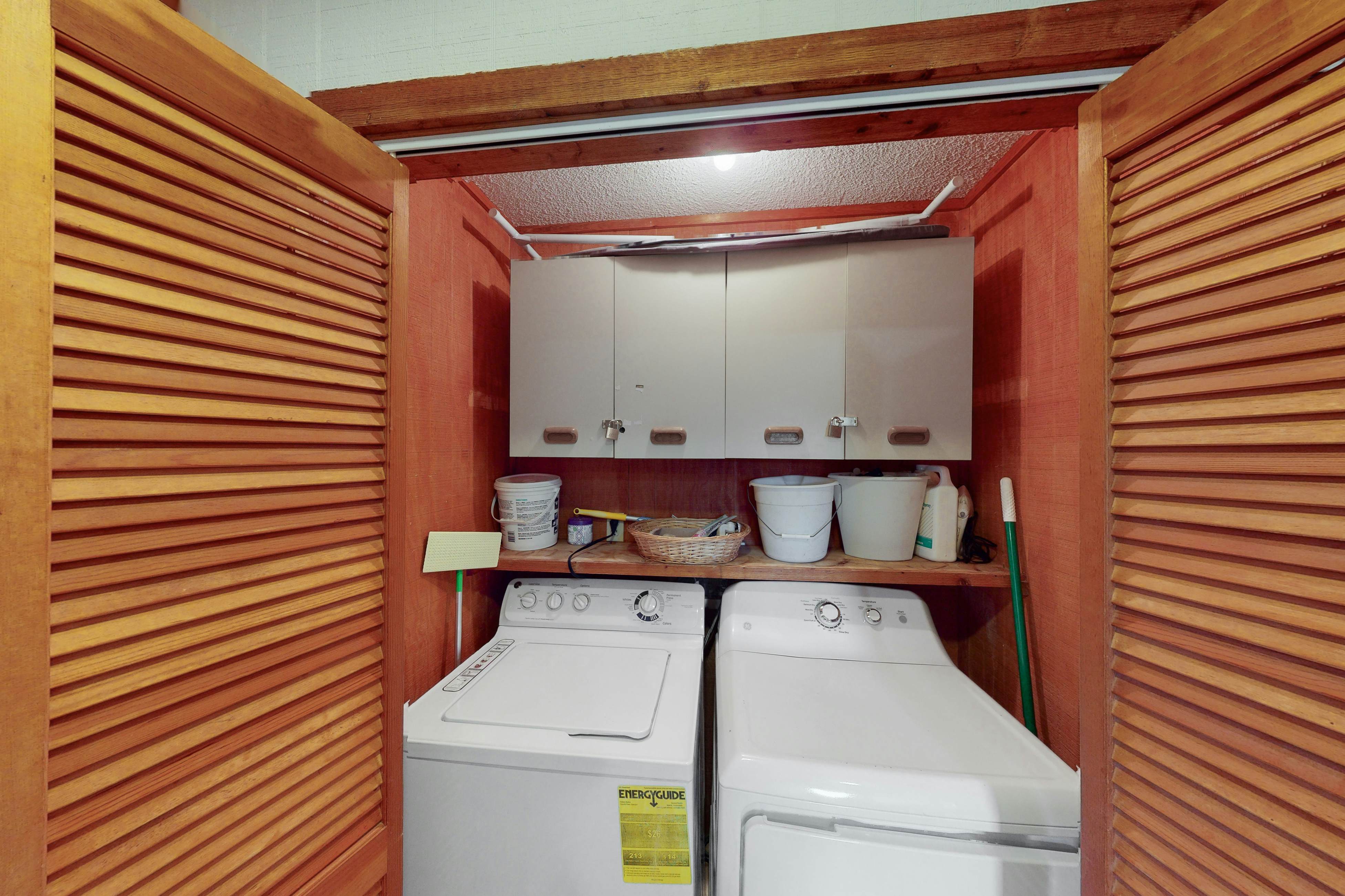 AVHC13 Sand Dollar  #13-HC