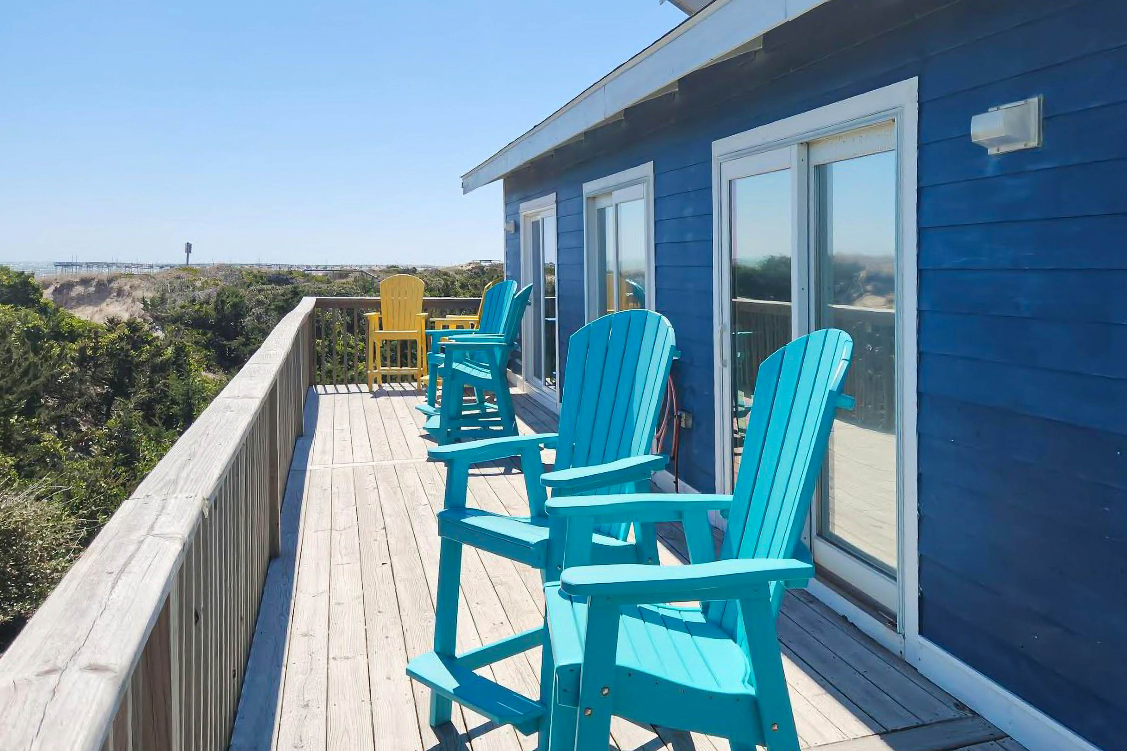 AVHC13 Sand Dollar  #13-HC