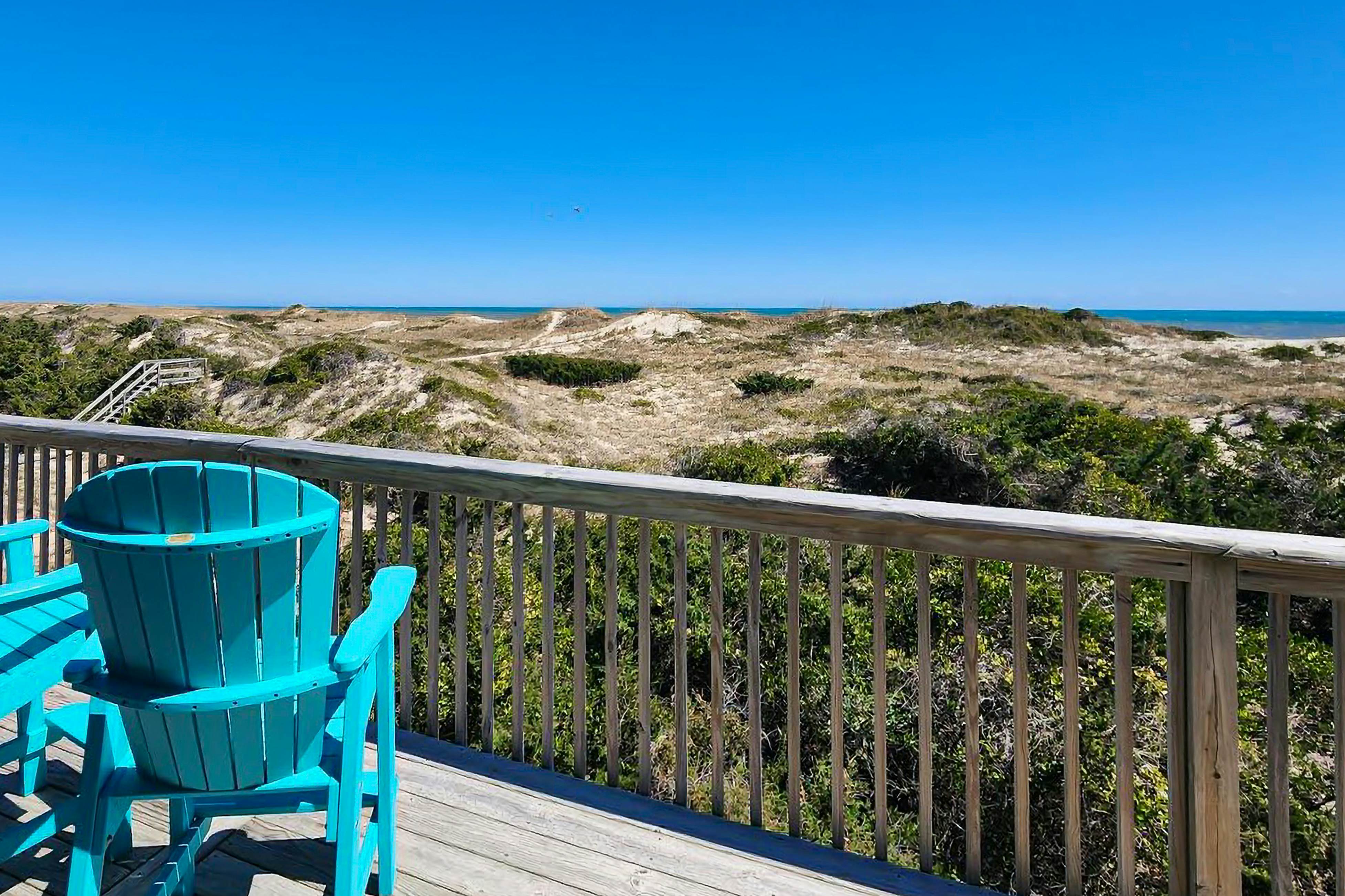 AVHC13 Sand Dollar  #13-HC