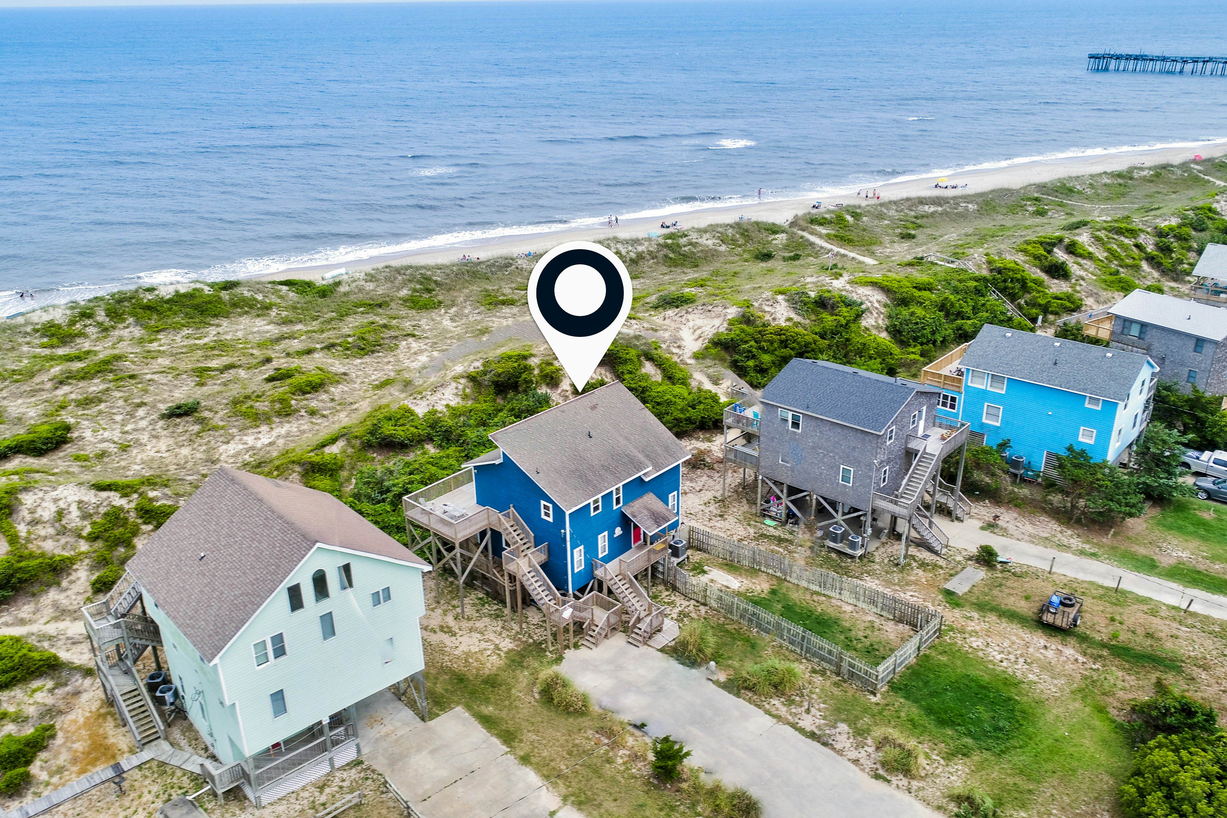 AVHC13 Sand Dollar  #13-HC