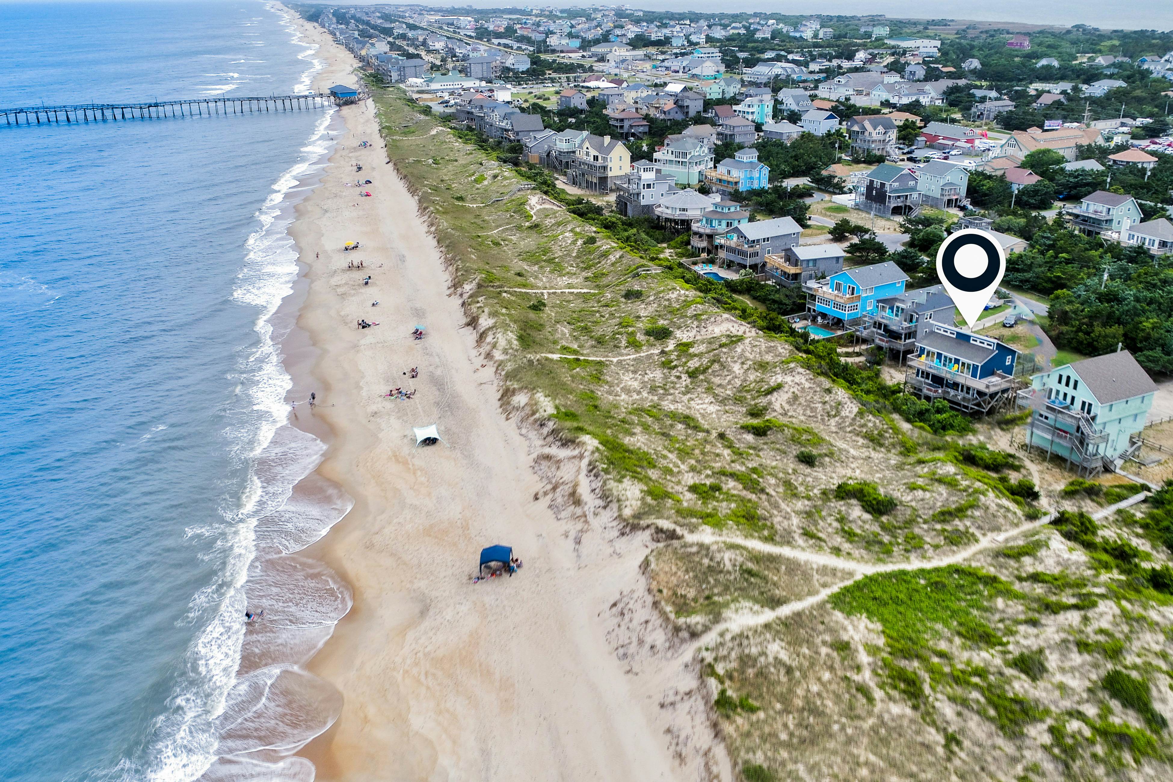 AVHC13 Sand Dollar  #13-HC