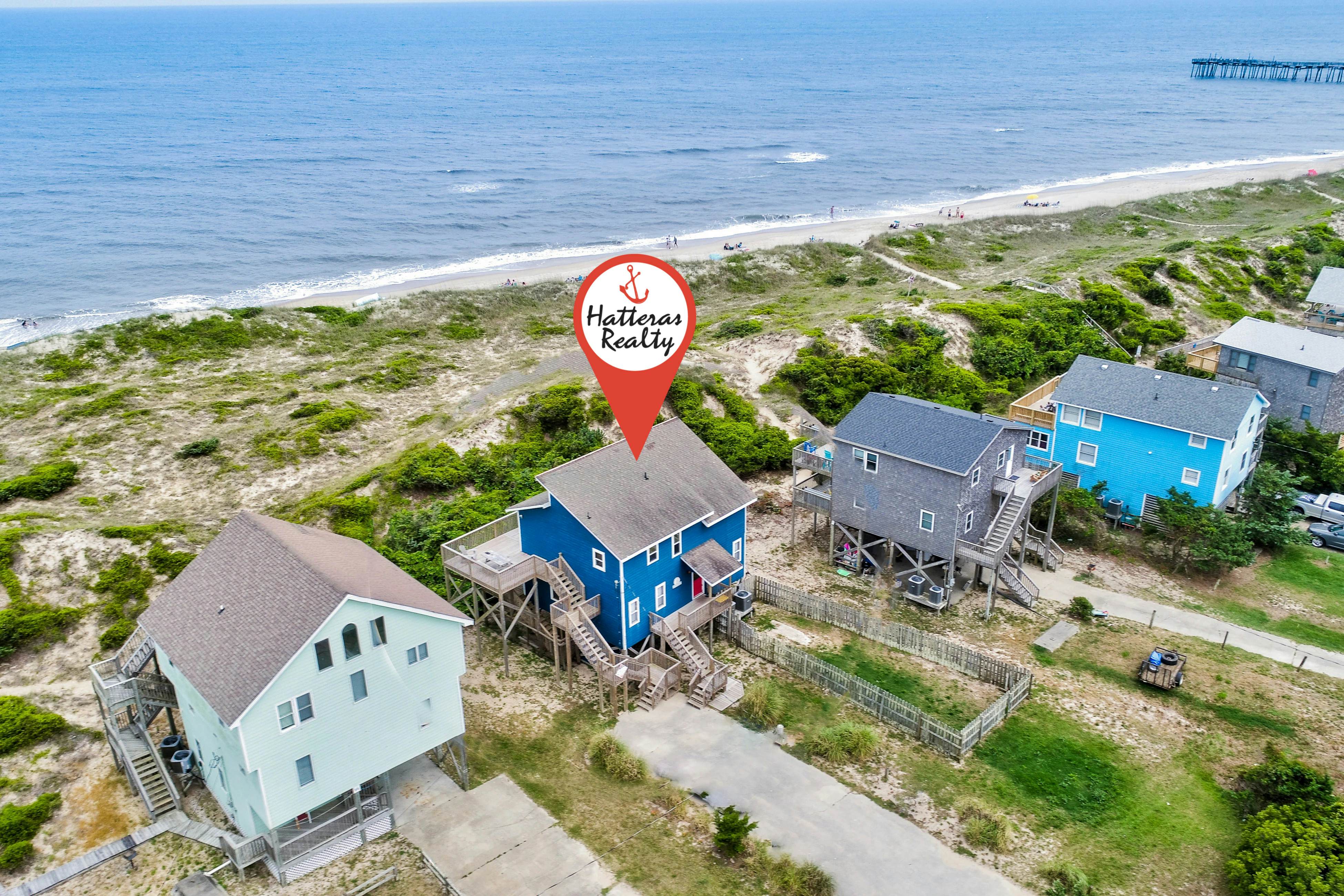 AVHC13 Sand Dollar  #13-HC