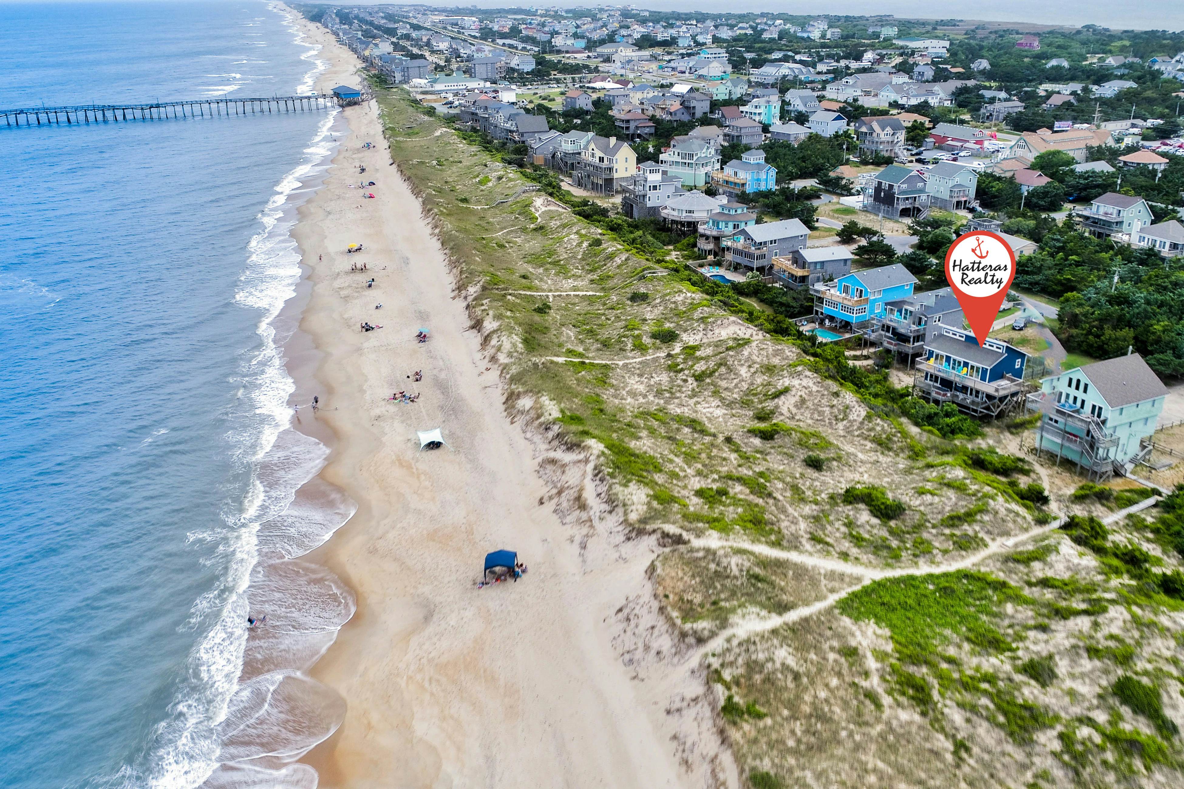 AVHC13 Sand Dollar  #13-HC