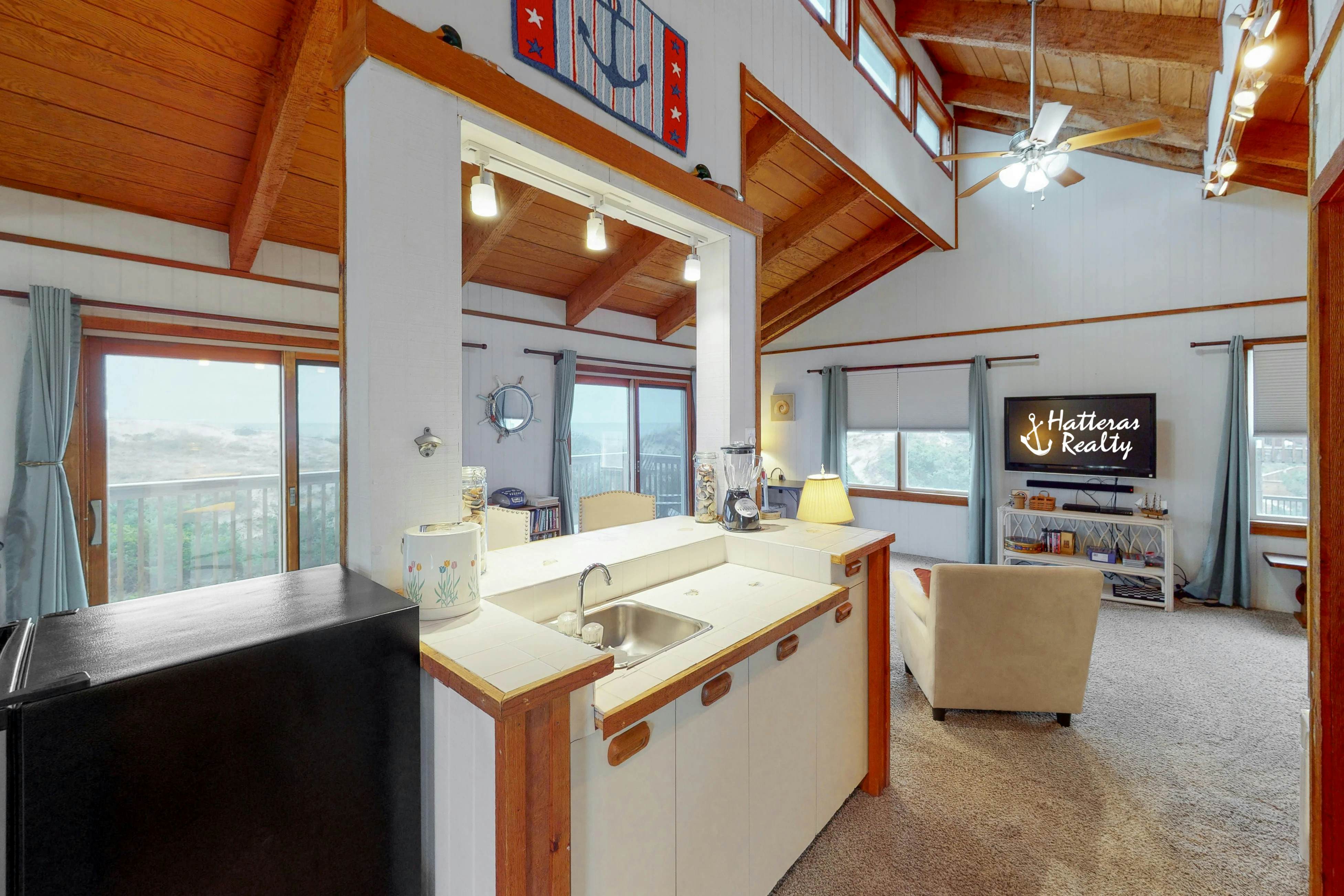 AVHC13 Sand Dollar  #13-HC