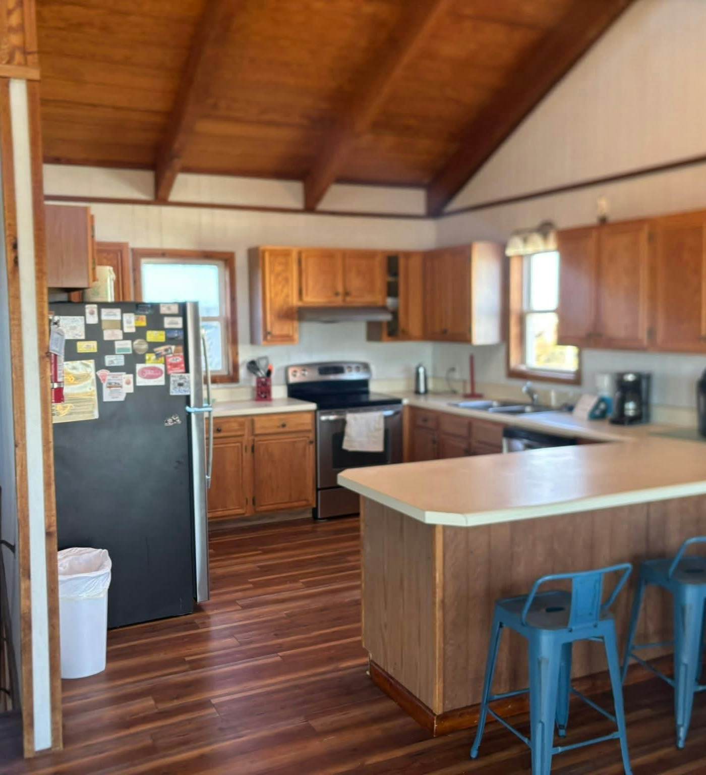 AVHC13 Sand Dollar  #13-HC