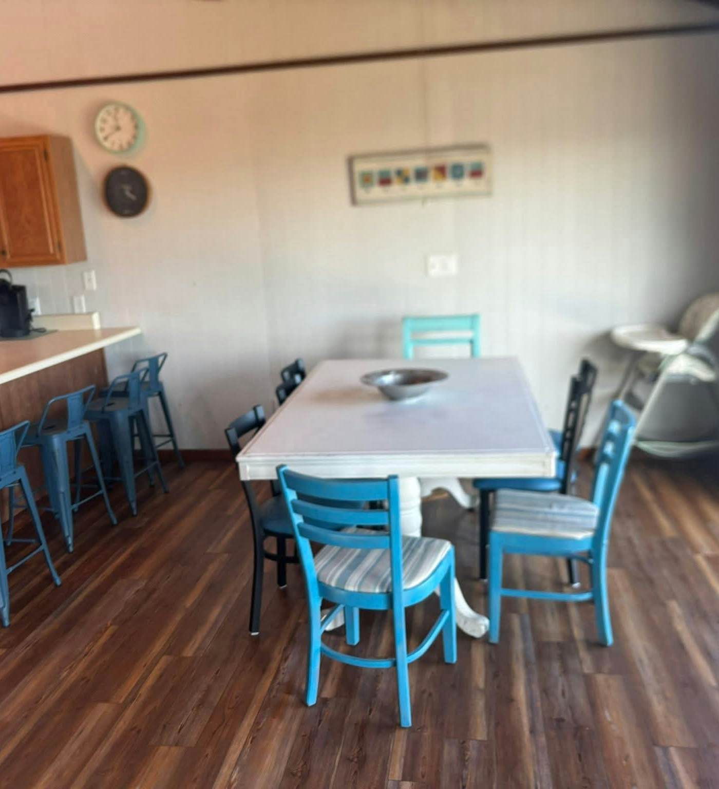 AVHC13 Sand Dollar  #13-HC