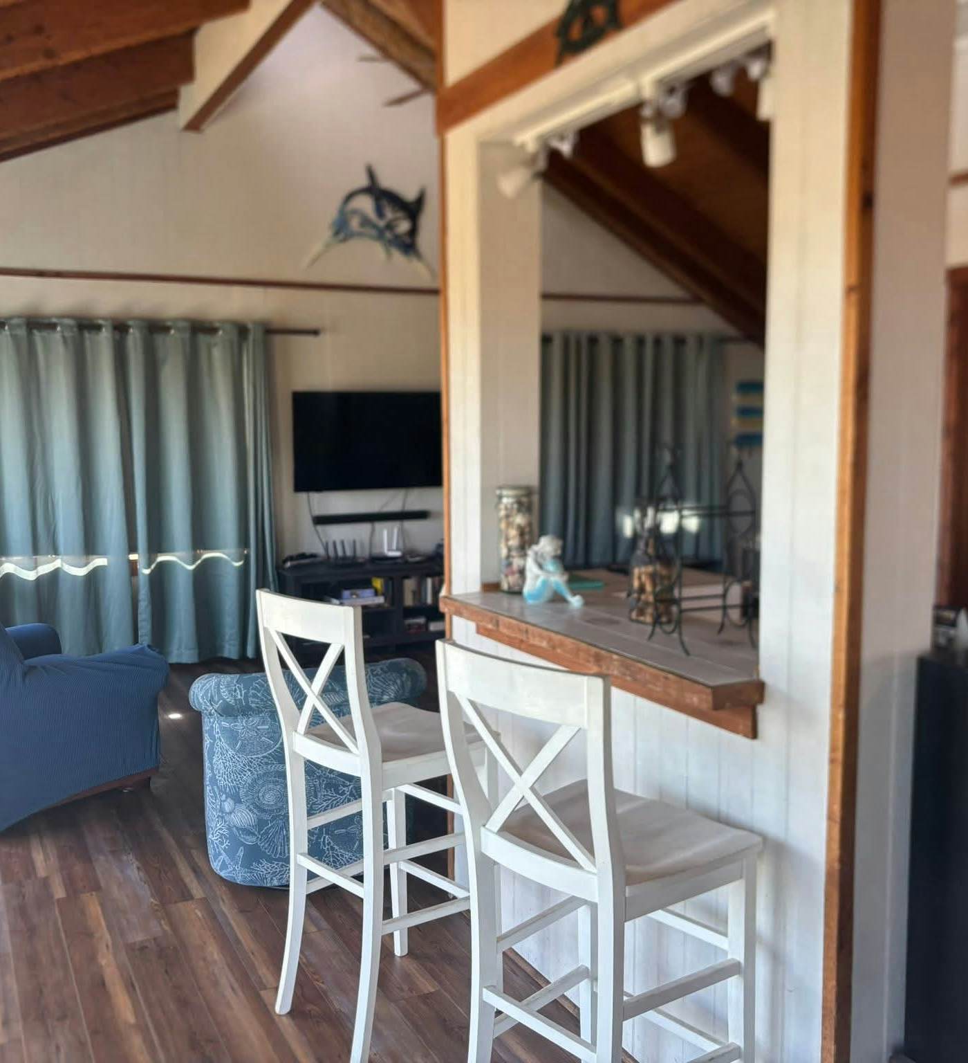 AVHC13 Sand Dollar  #13-HC