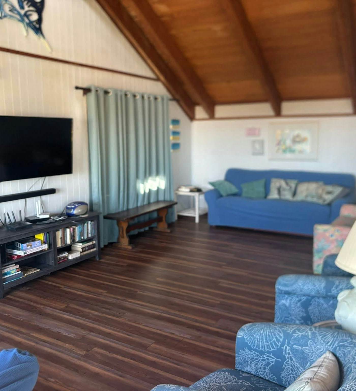 AVHC13 Sand Dollar  #13-HC