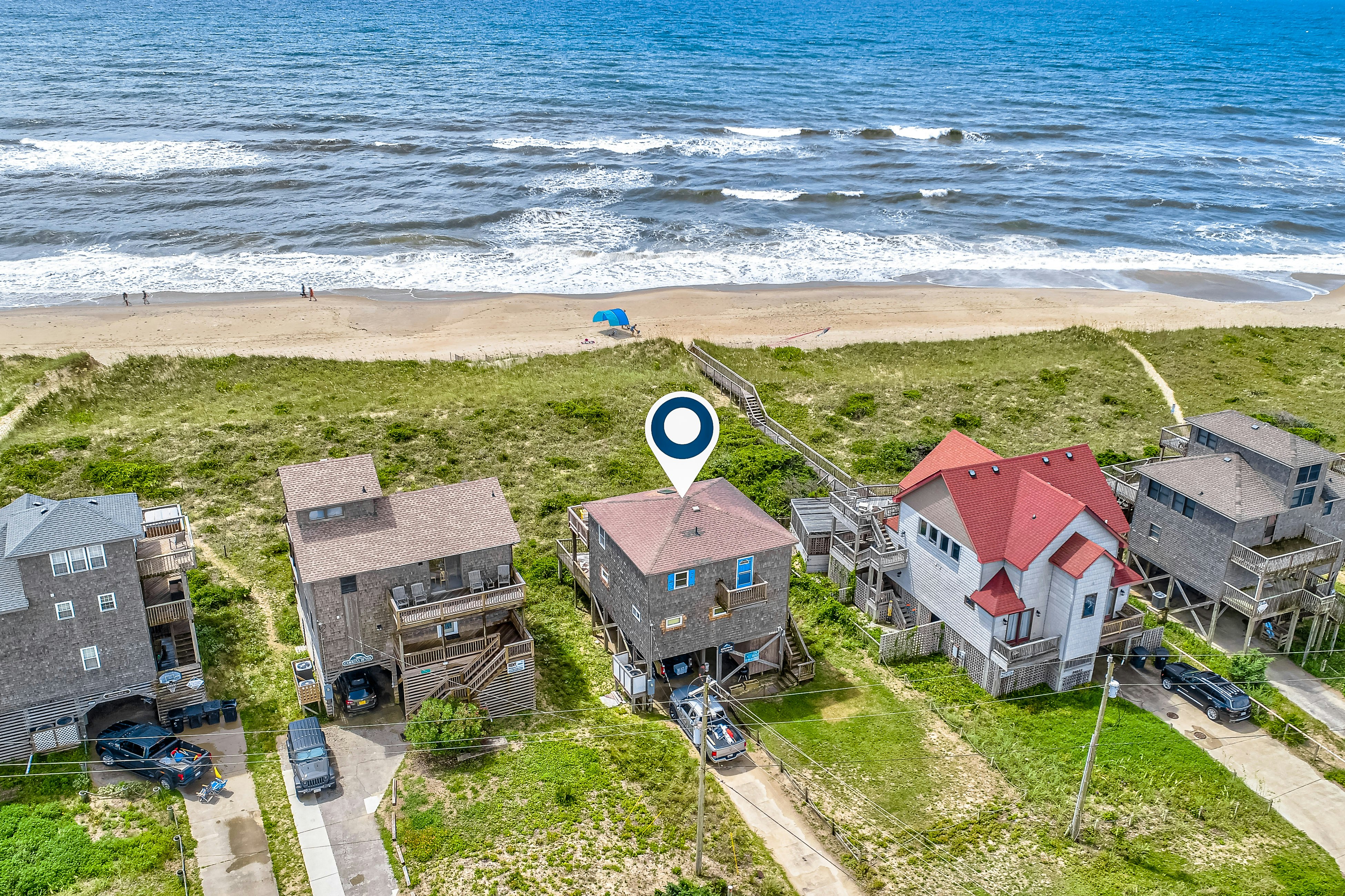 FO224 Dolphin Watch 224