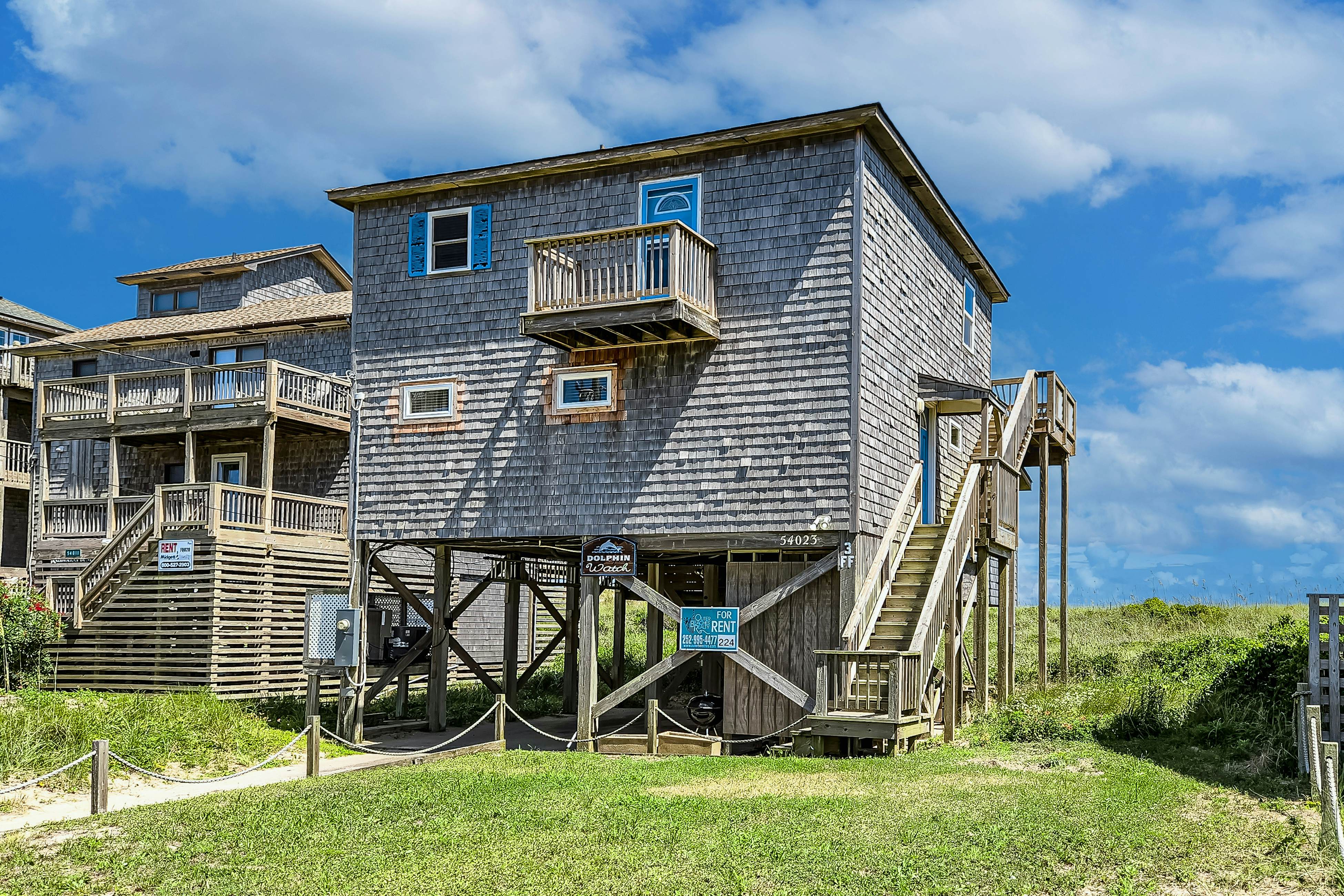 FO224 Dolphin Watch 224