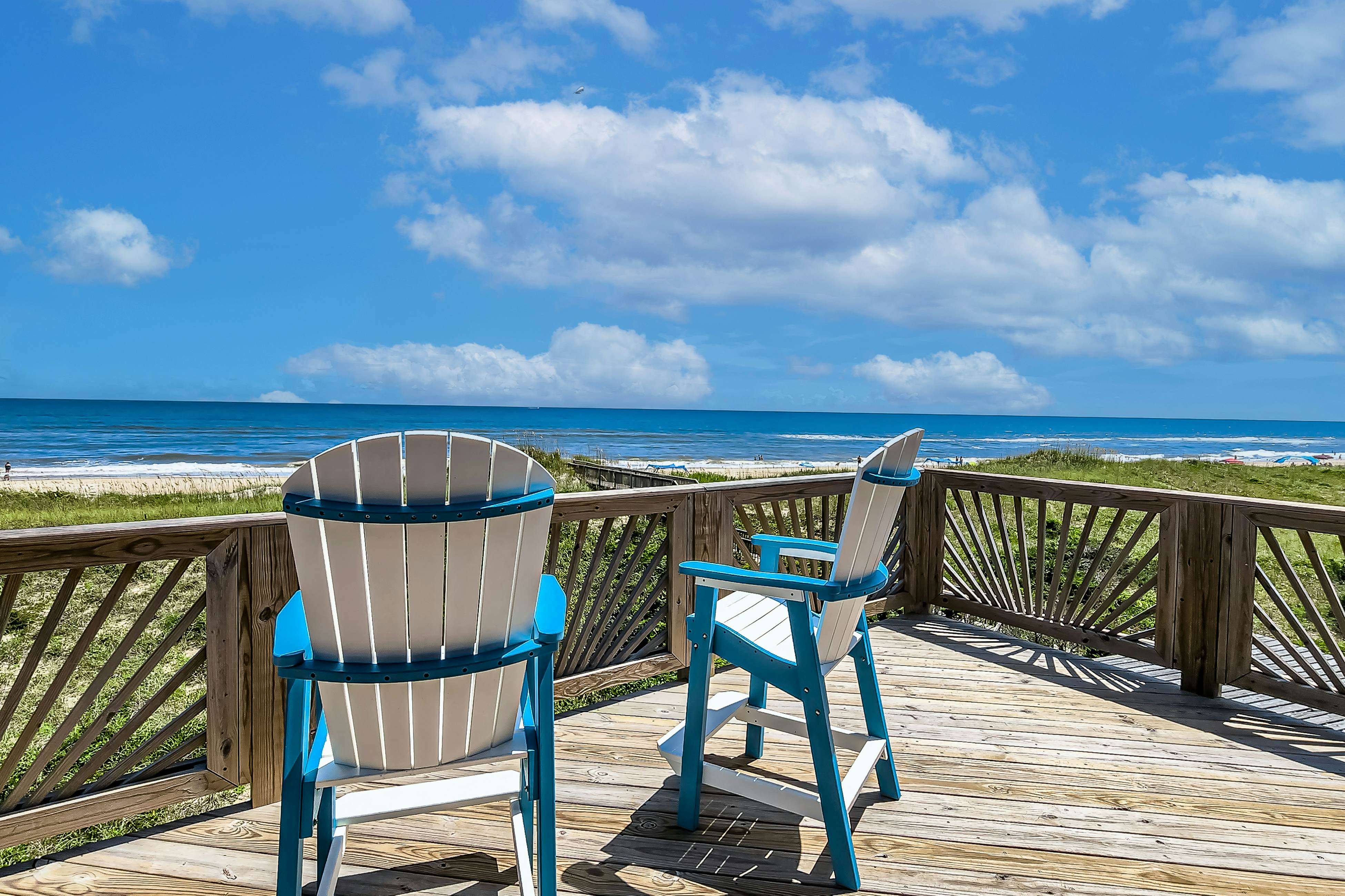 FO224 Dolphin Watch 224