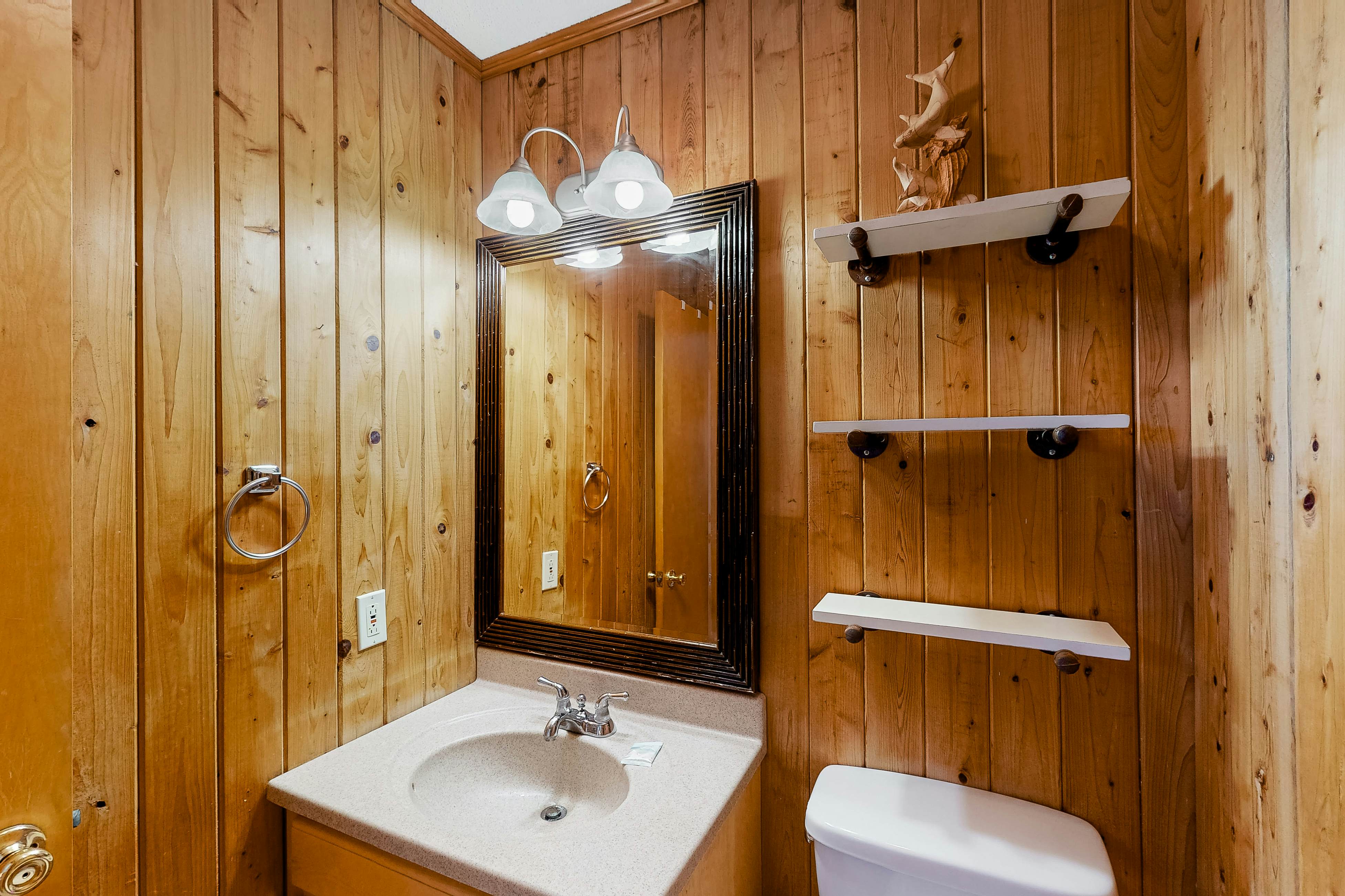 FO224 Dolphin Watch 224