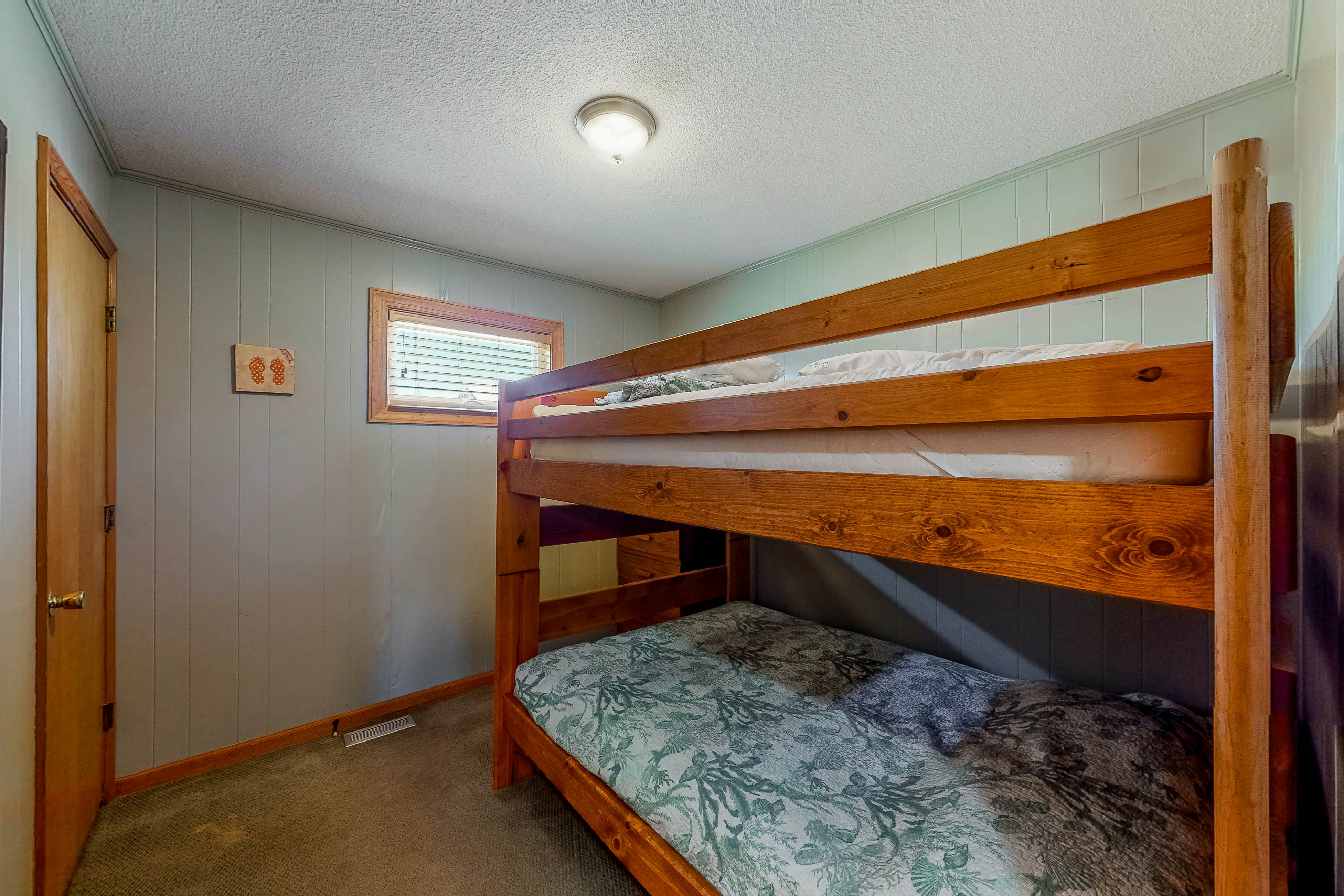 FO224 Dolphin Watch 224