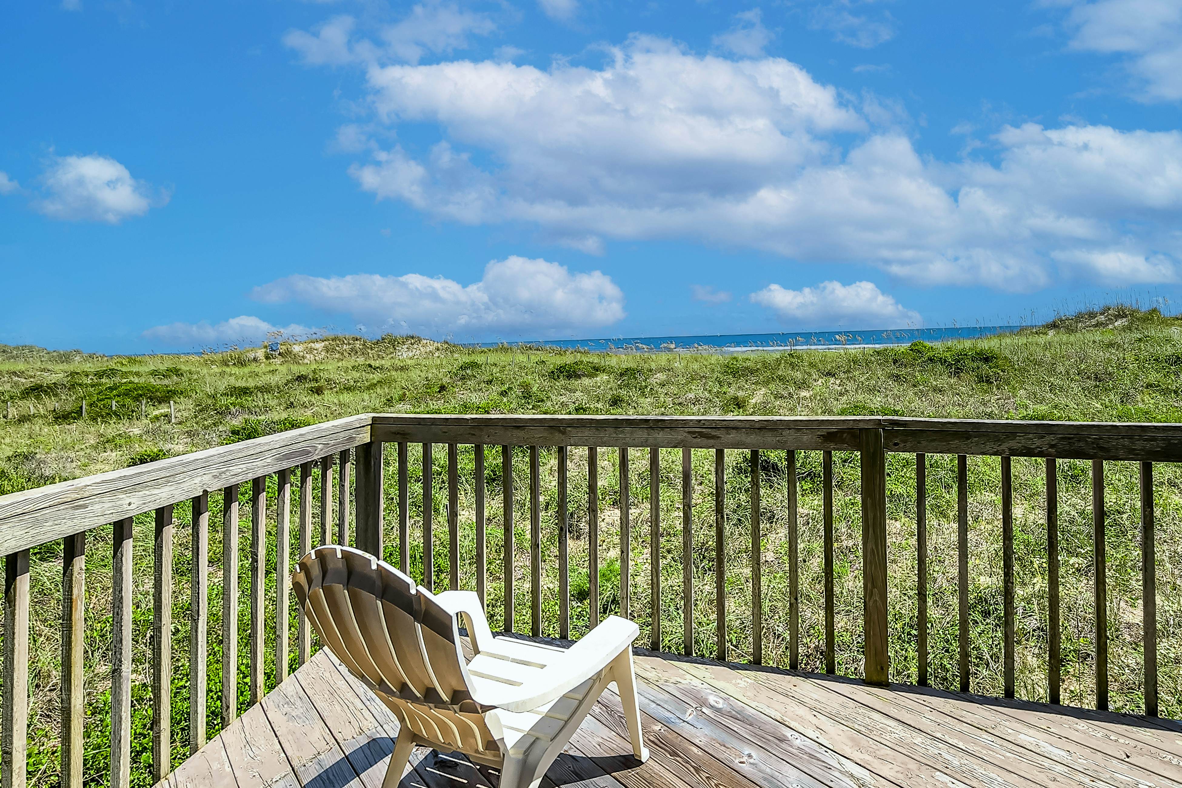 FO224 Dolphin Watch 224