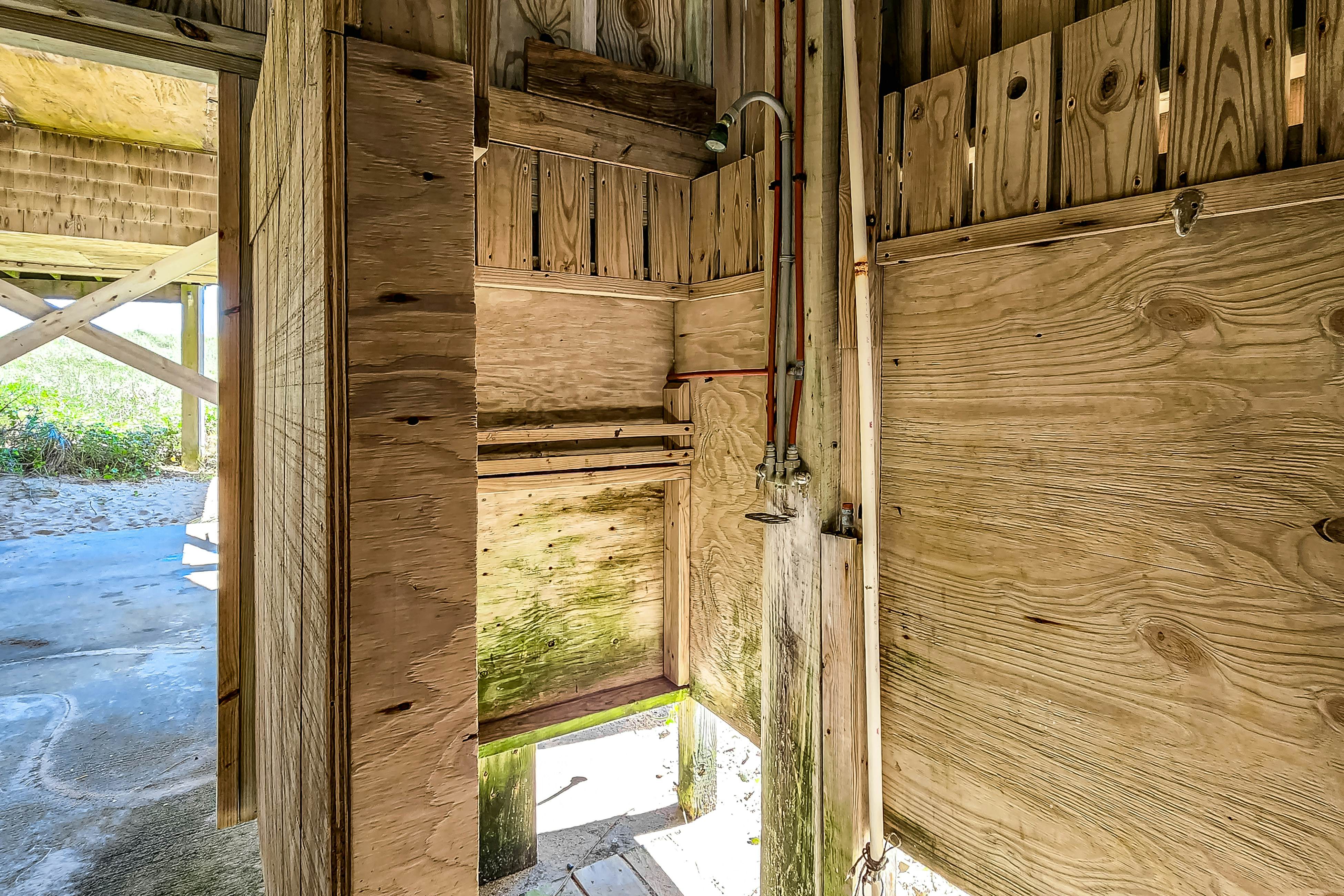 FO224 Dolphin Watch 224