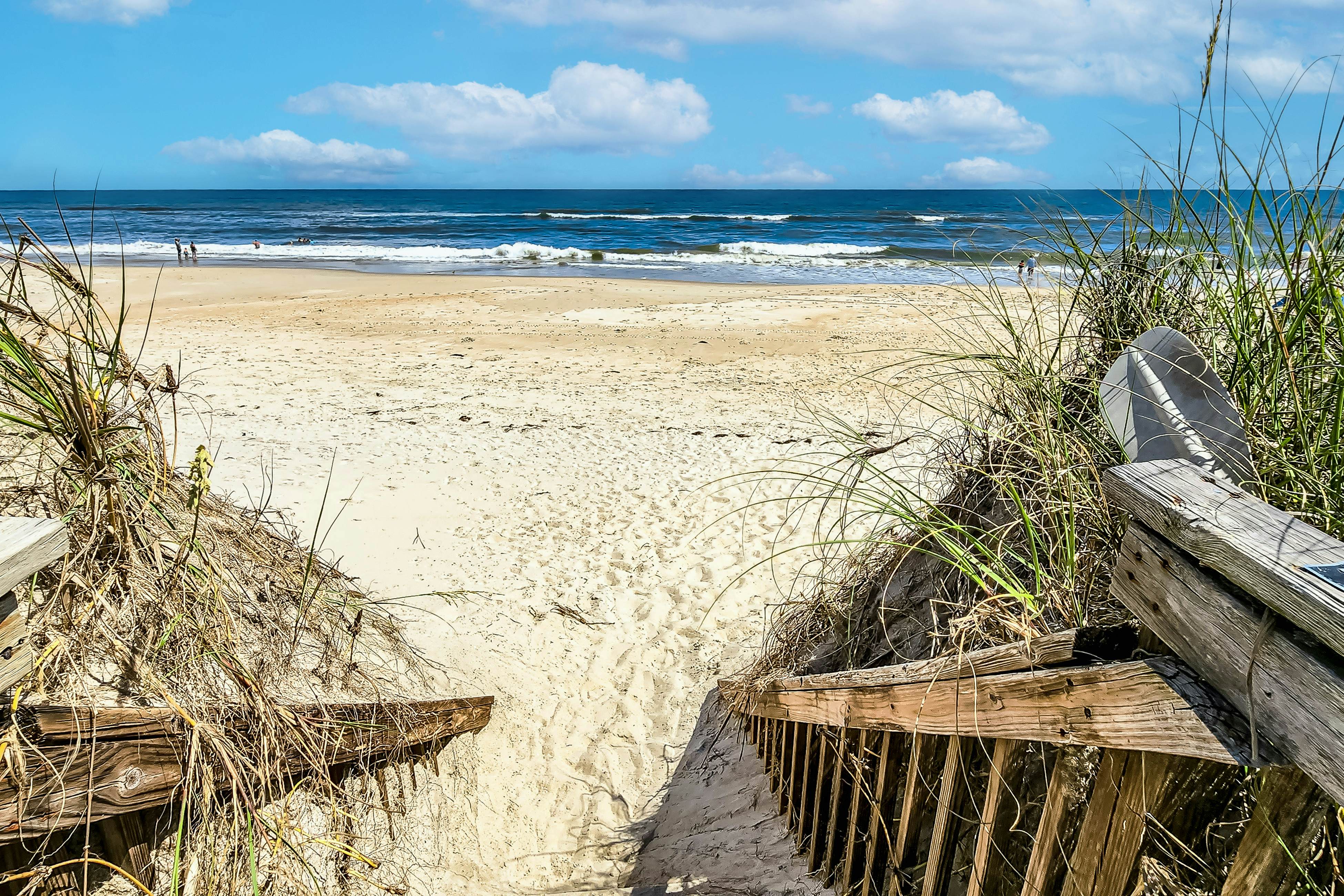 FO224 Dolphin Watch 224