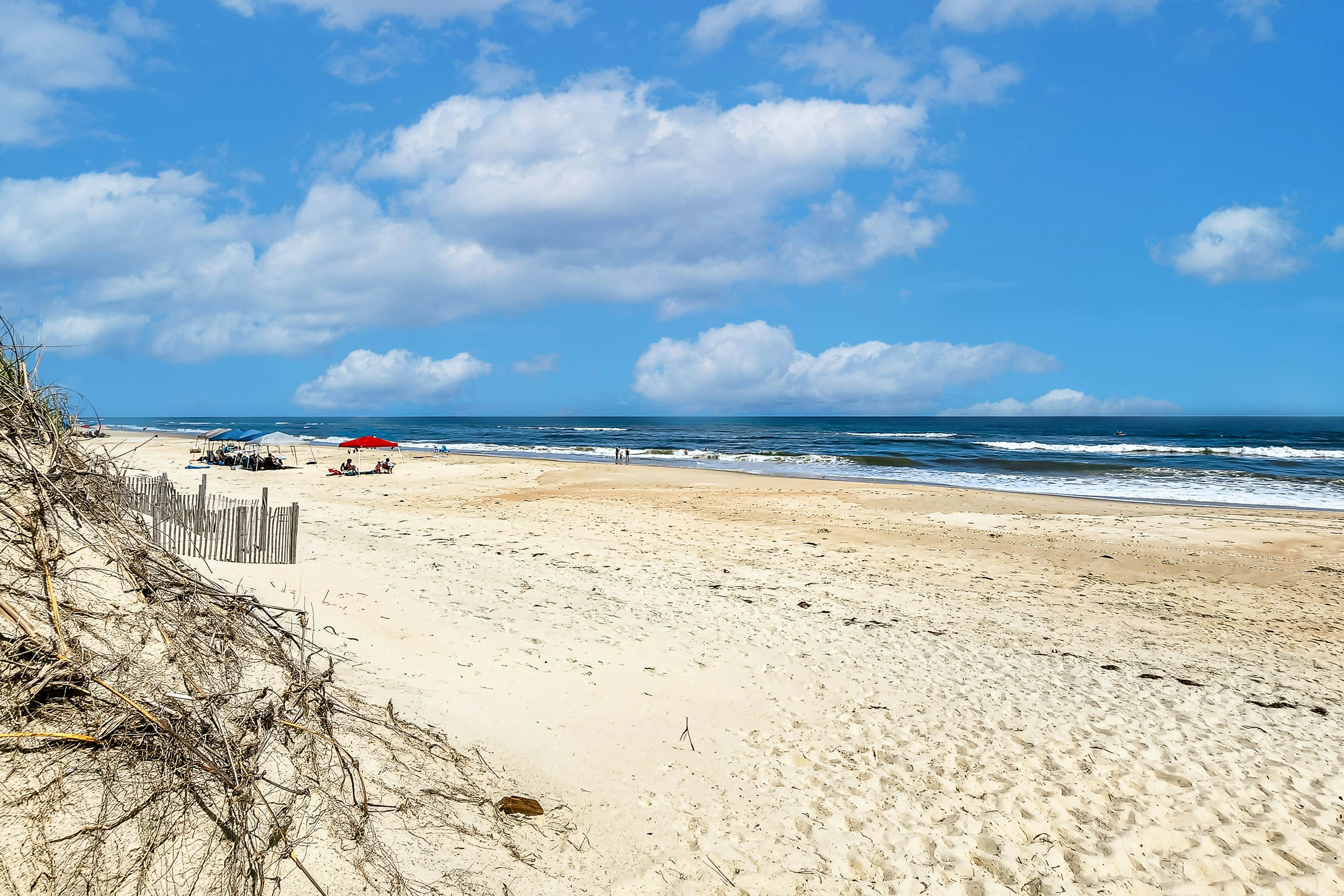 FO224 Dolphin Watch 224