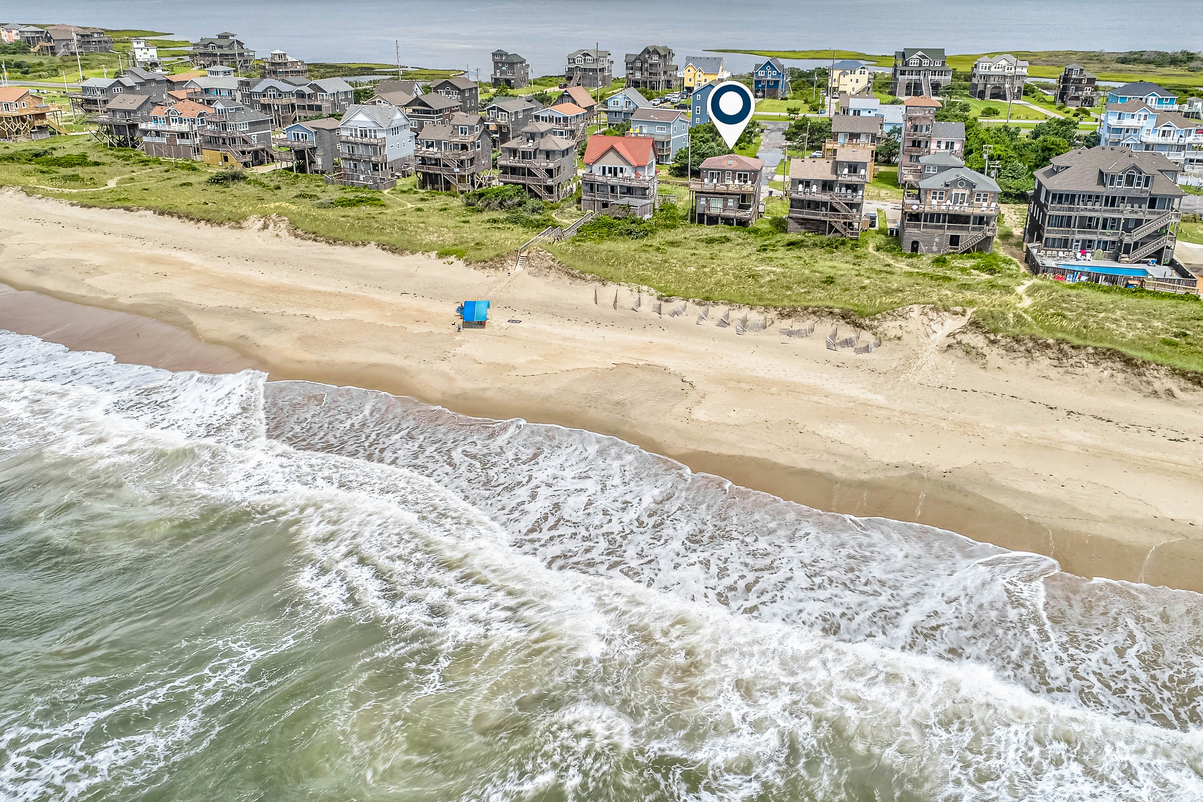 FO224 Dolphin Watch 224