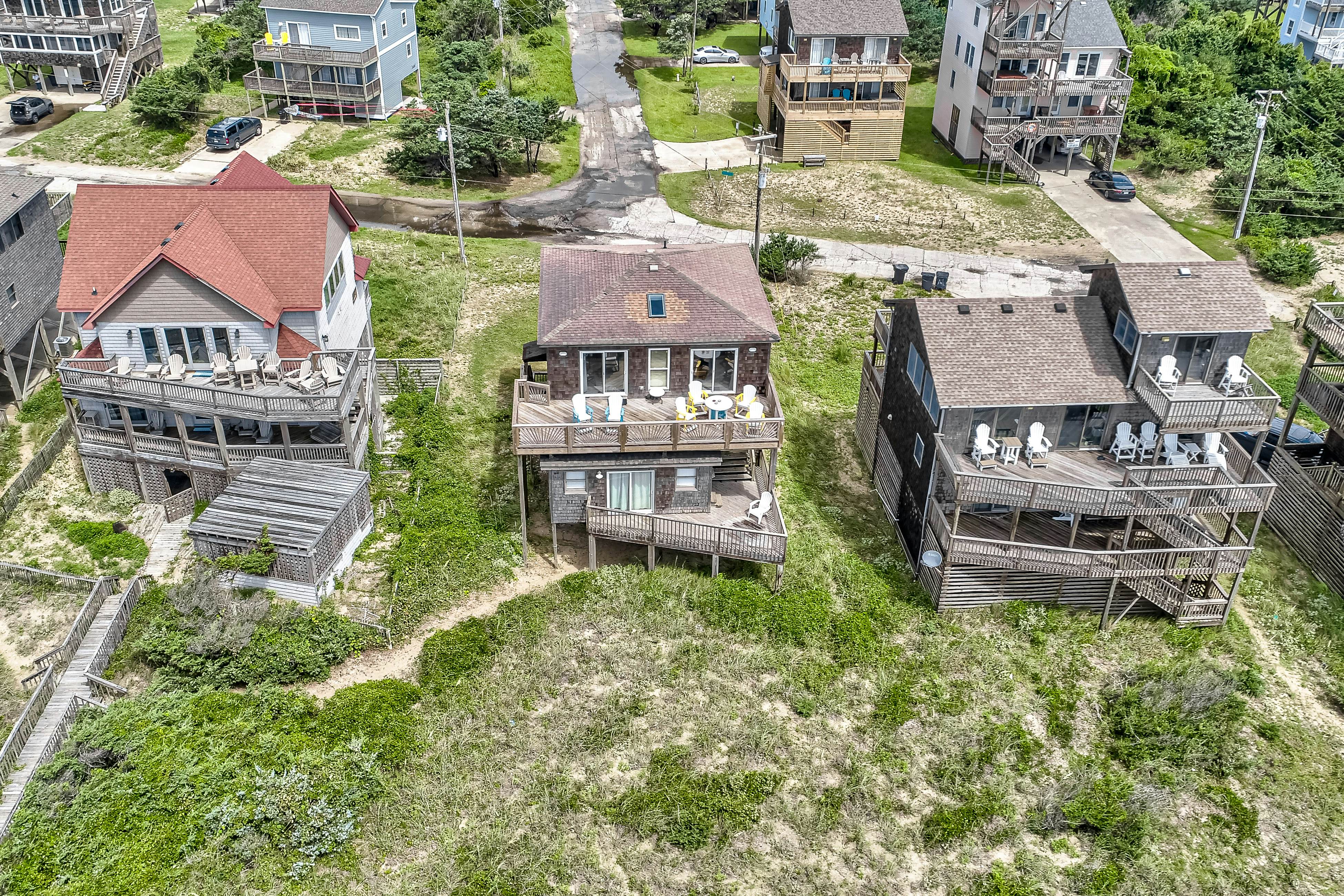 FO224 Dolphin Watch 224