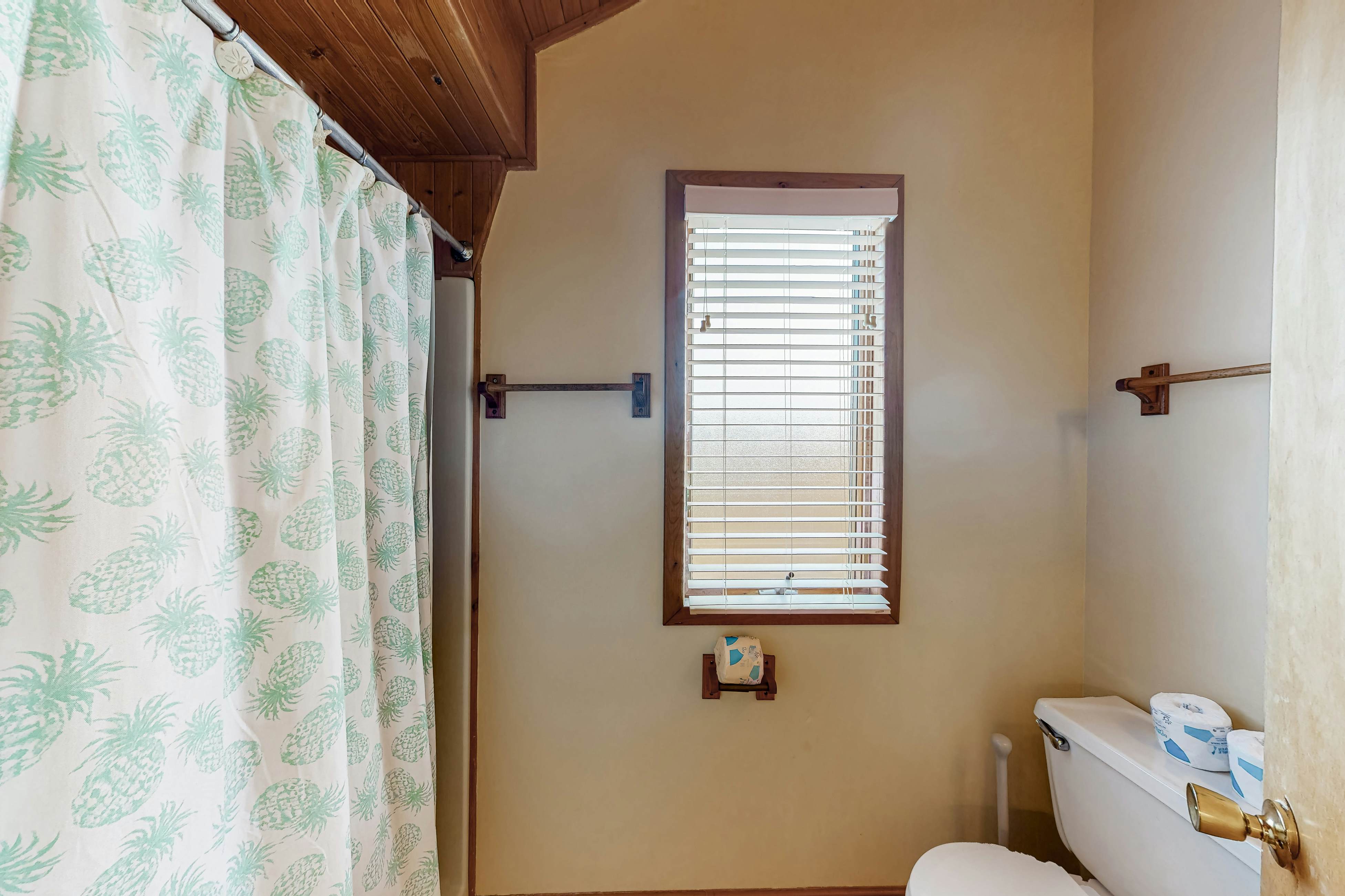 AVKS173 Duneshine  #73-1