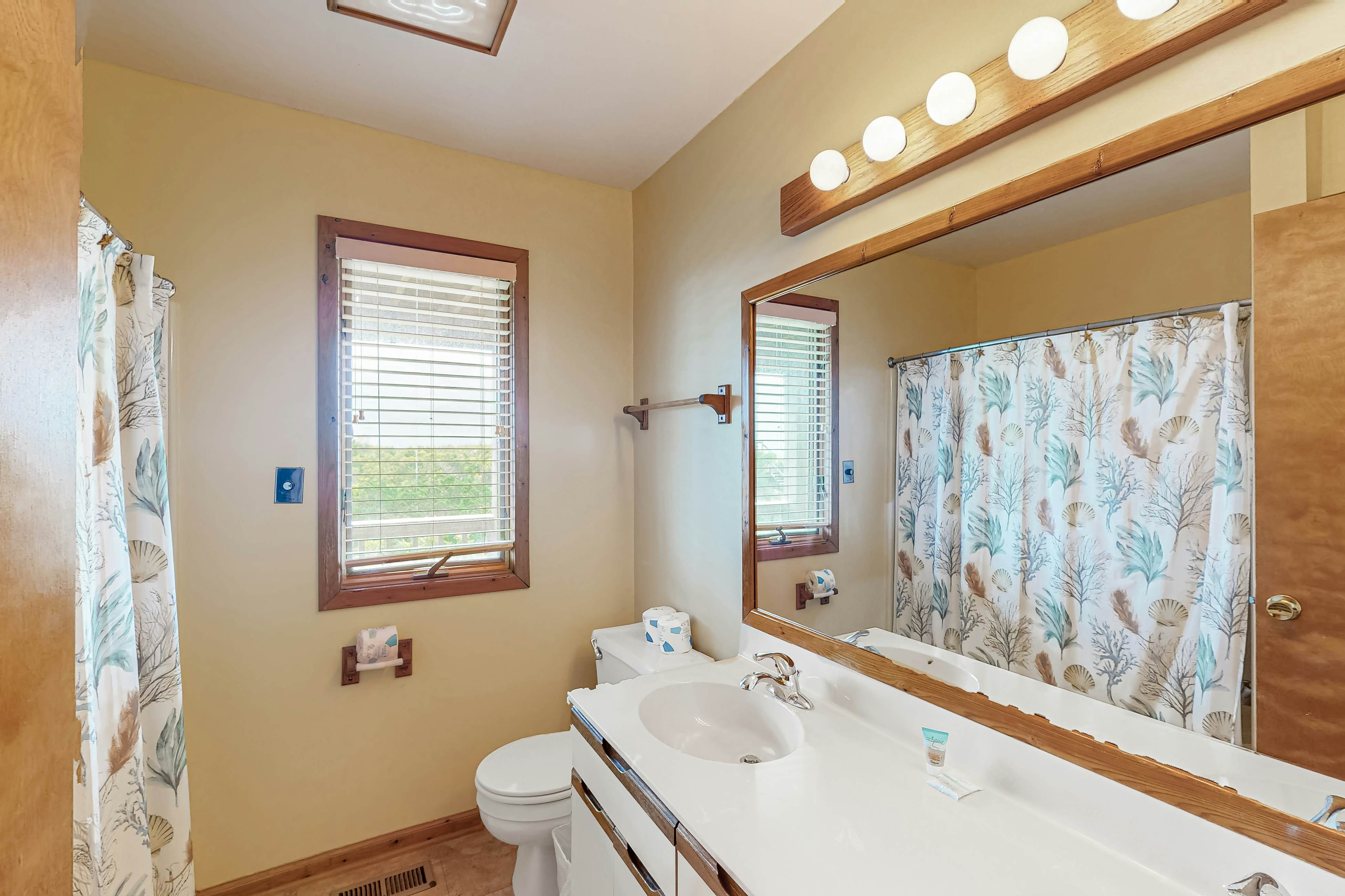 AVKS173 Duneshine  #73-1