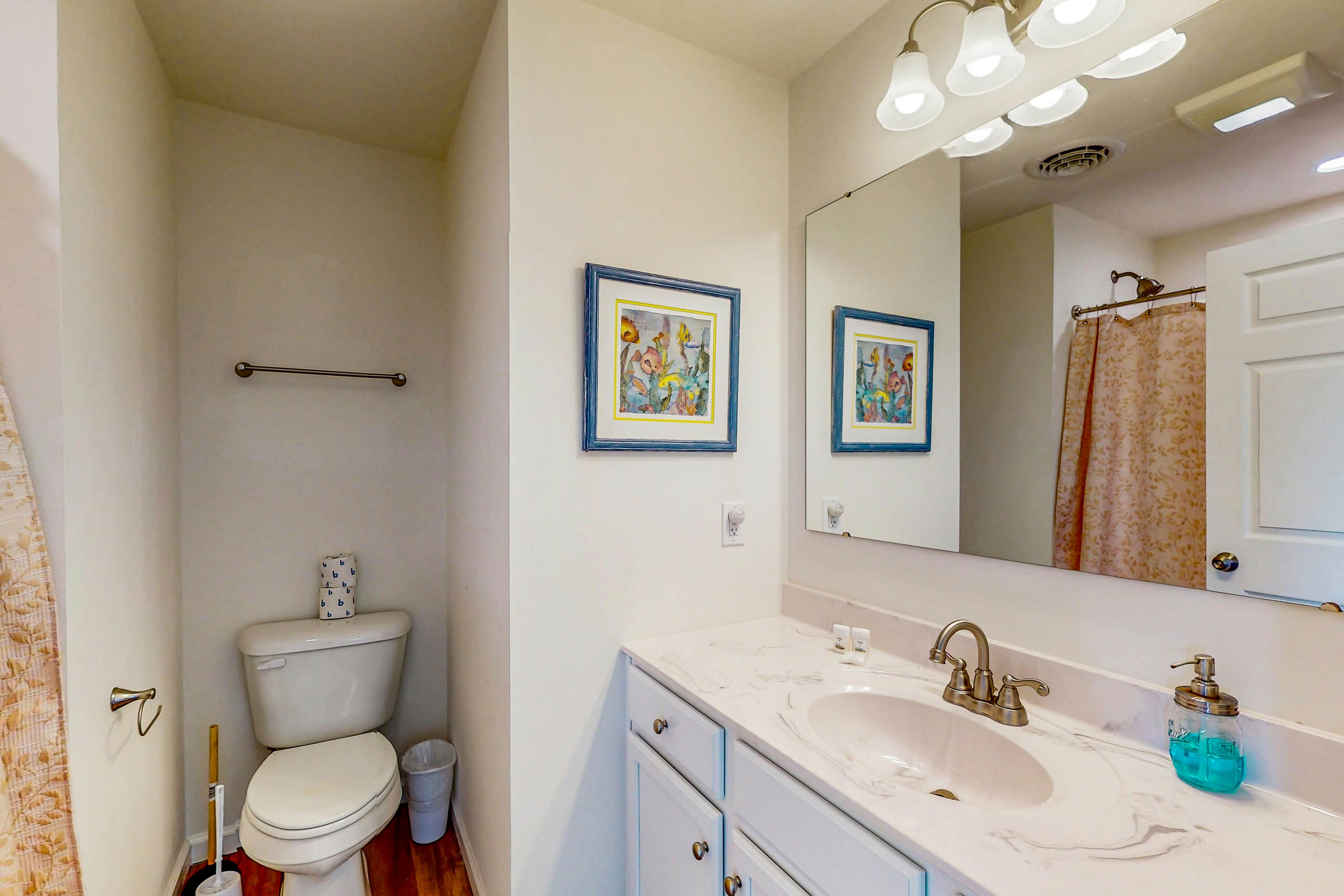 SO419 The Turtle's Nest