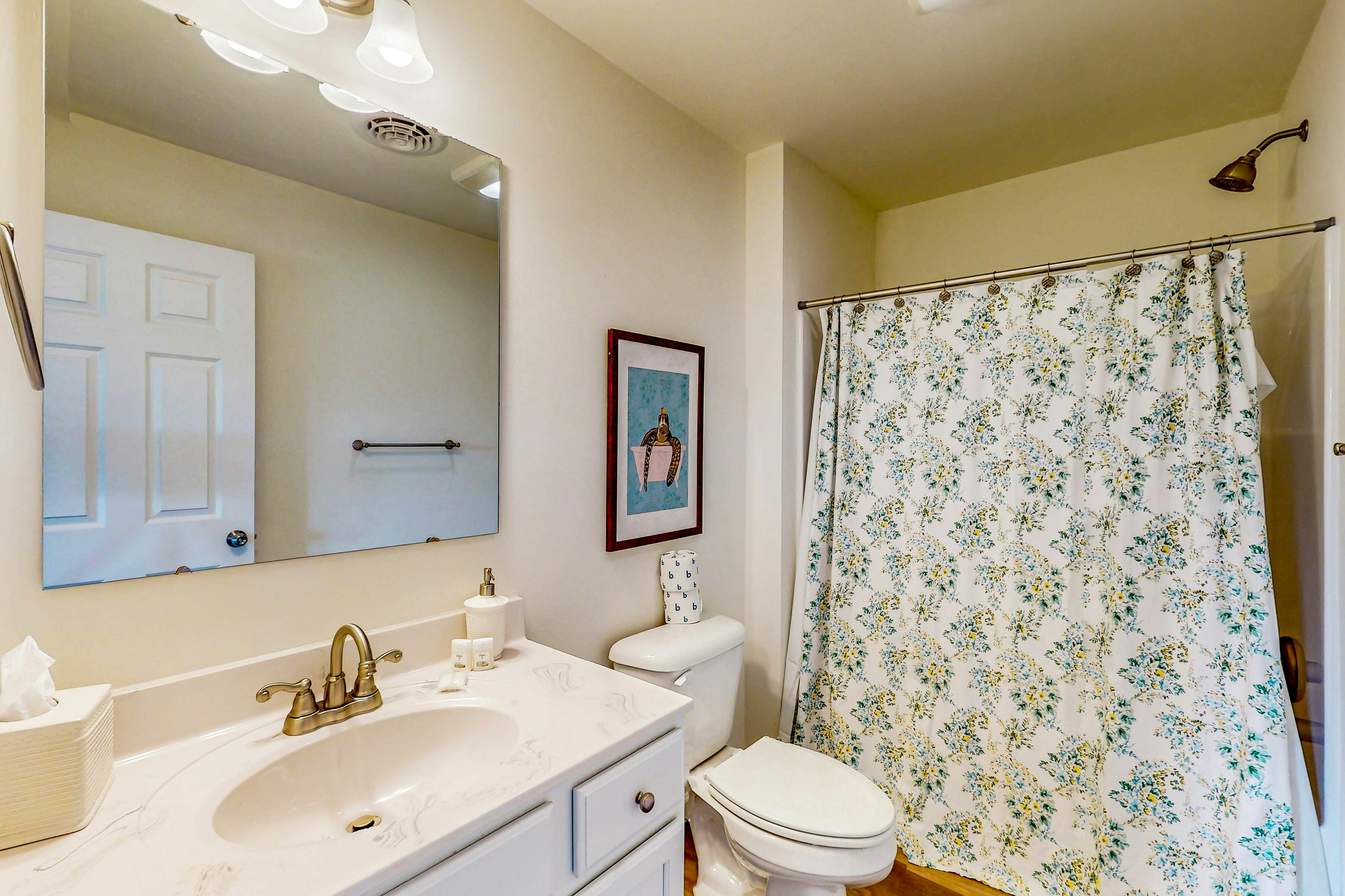 SO419 The Turtle's Nest