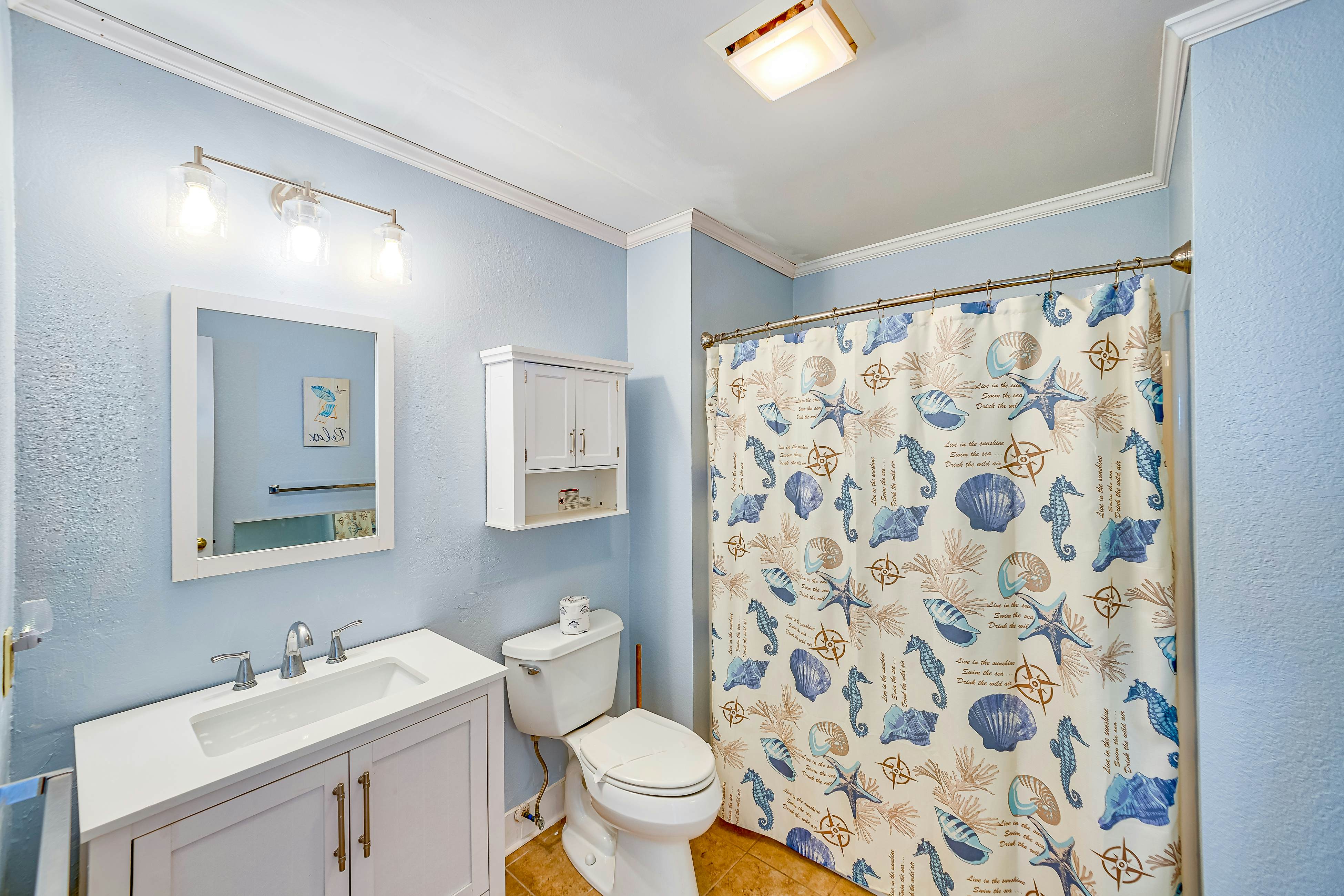 AVIC605 Sandy's Spot 605 IC