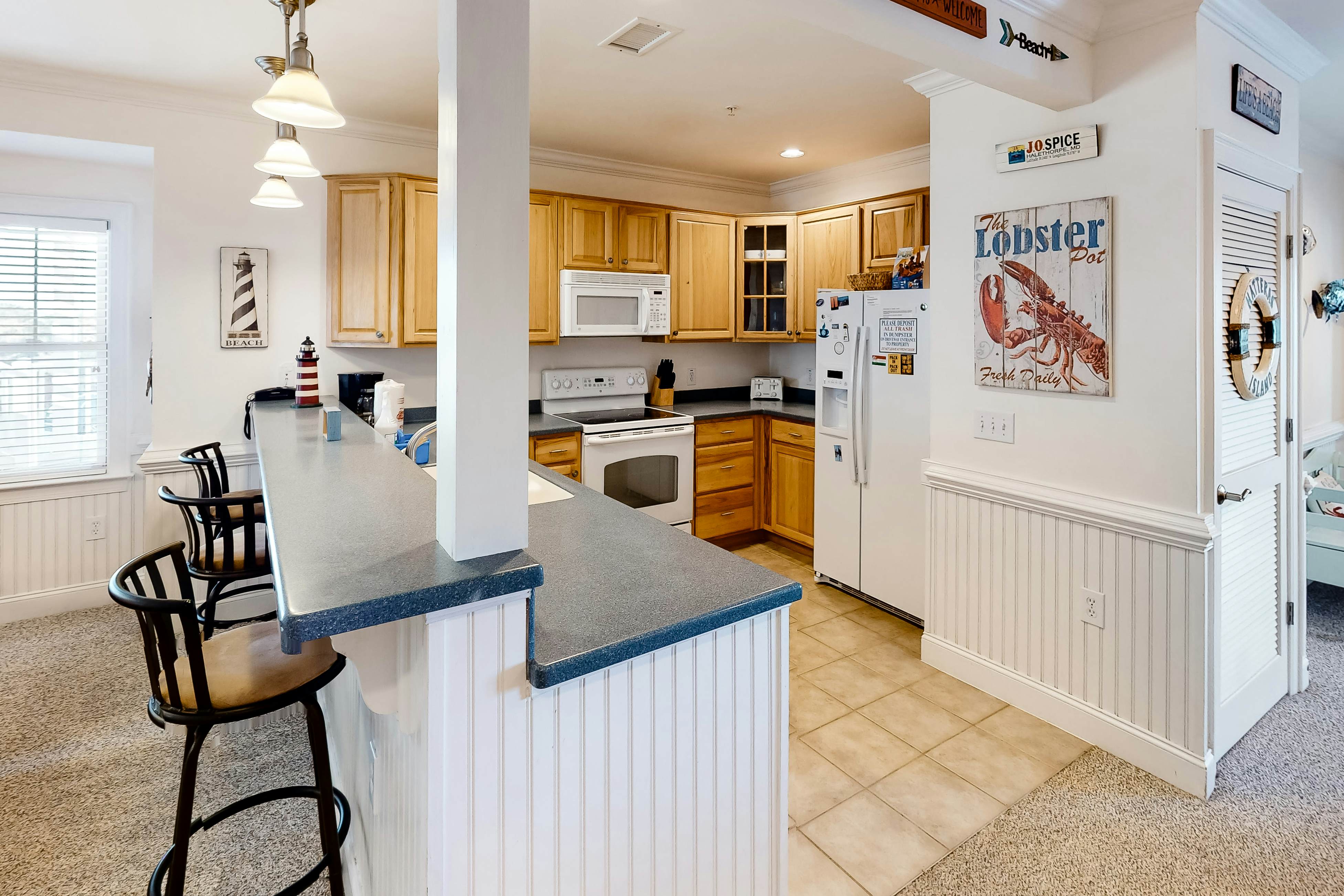 HASCD2 Sandy Cheeks  #D2SC-H