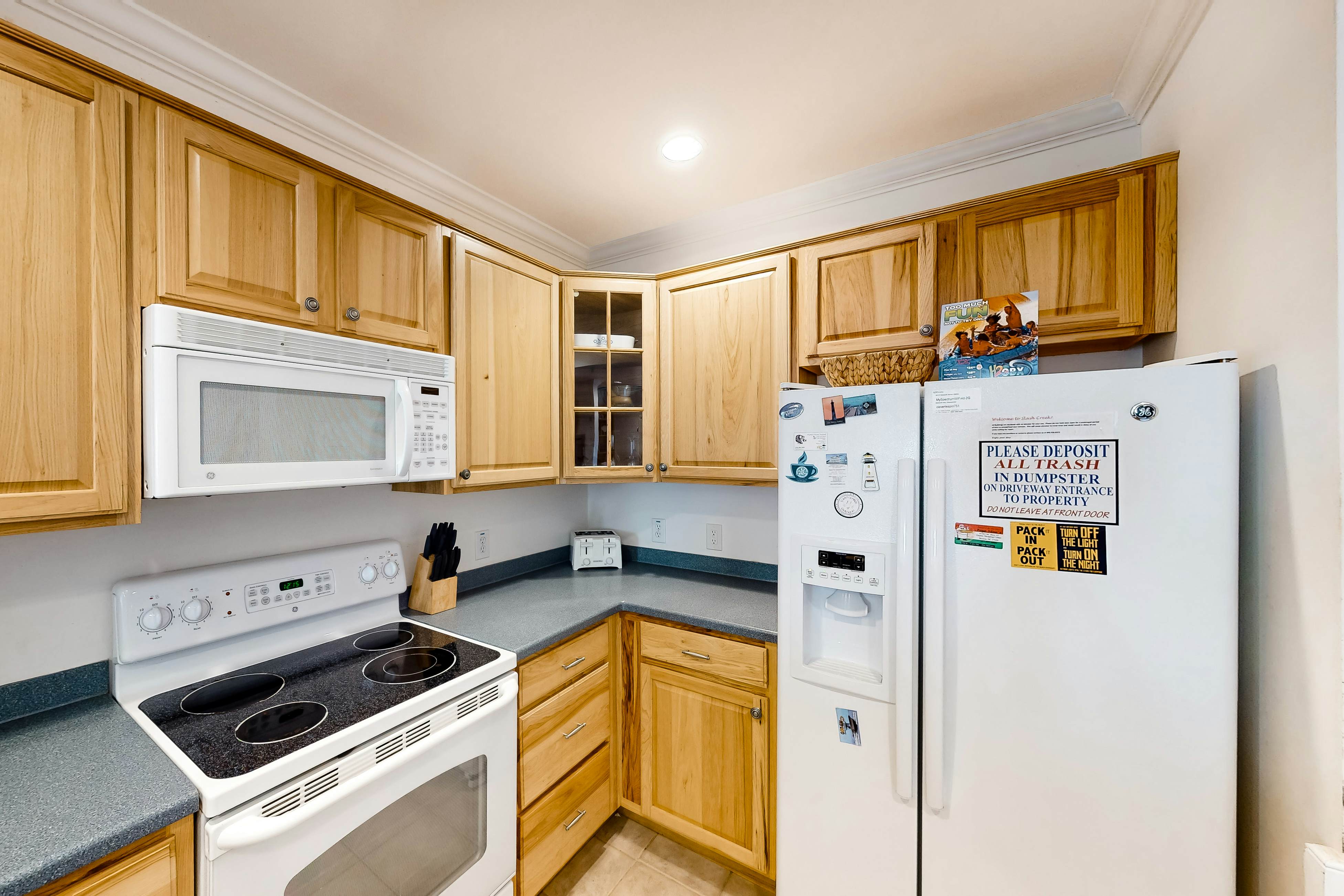 HASCD2 Sandy Cheeks  #D2SC-H