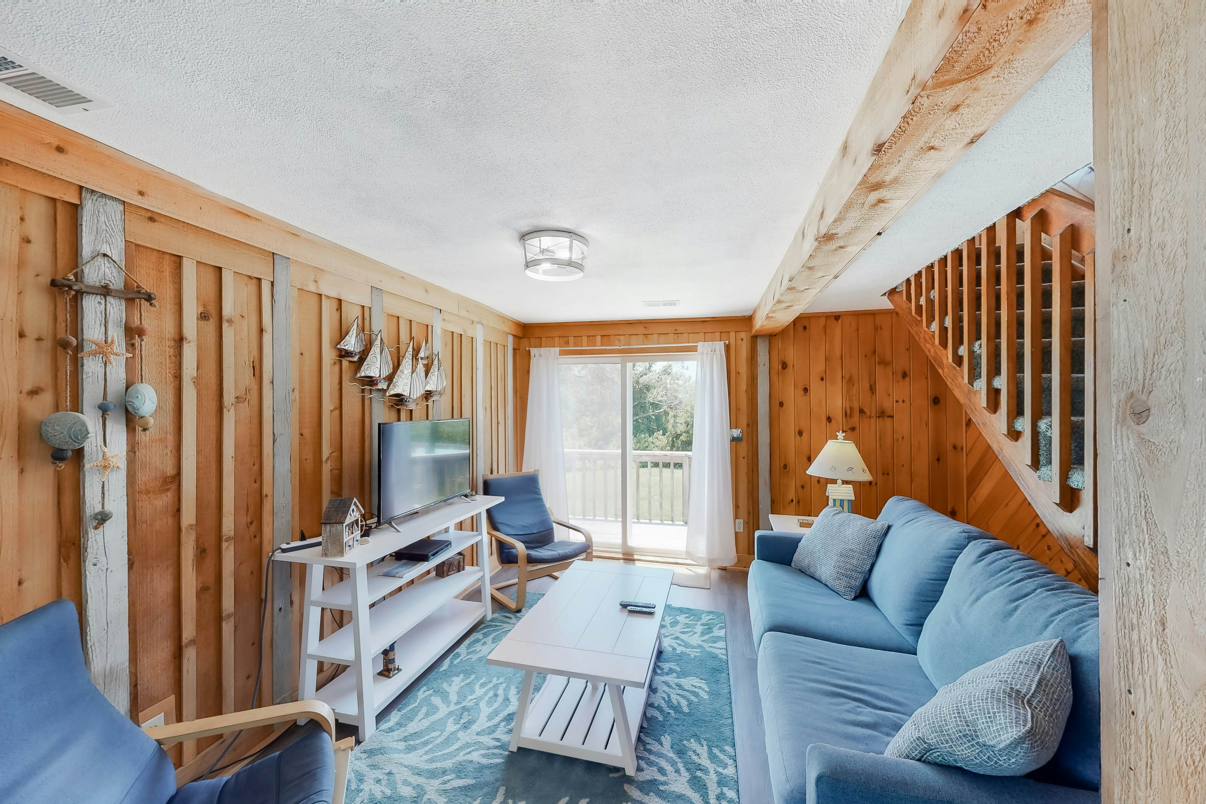 WVWSN23 44 Seashells