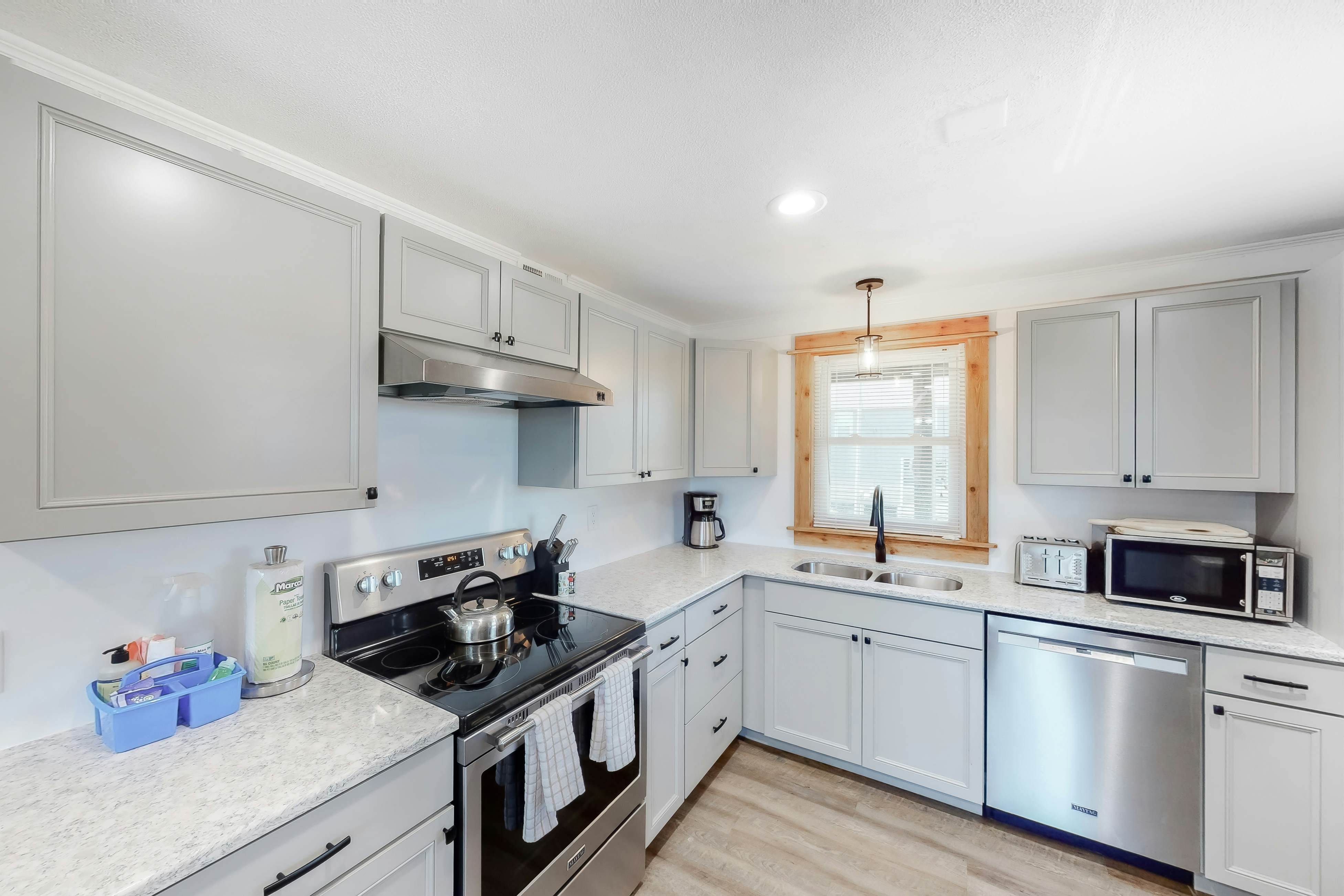 WVWSN23 44 Seashells