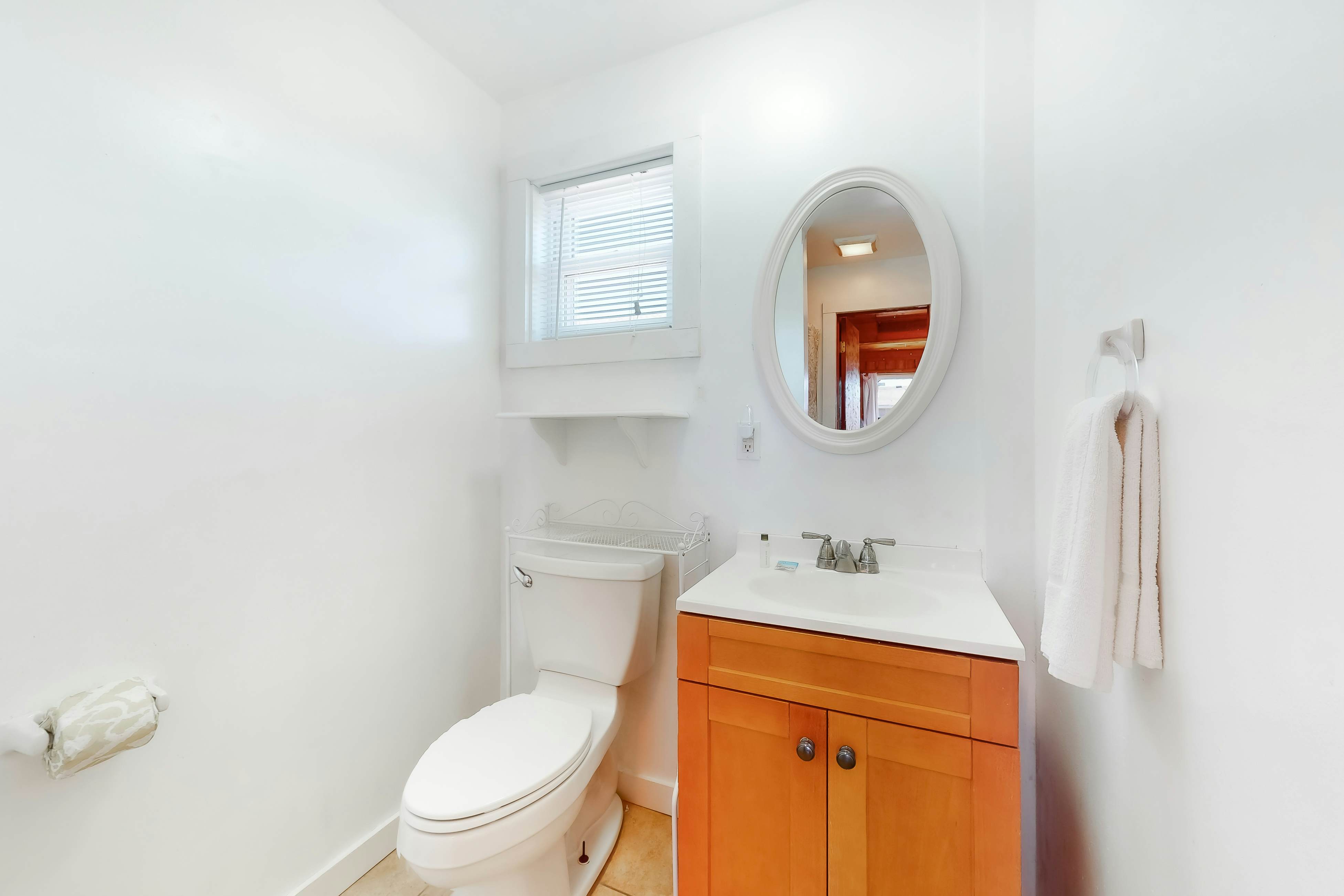 WVWSN23 44 Seashells