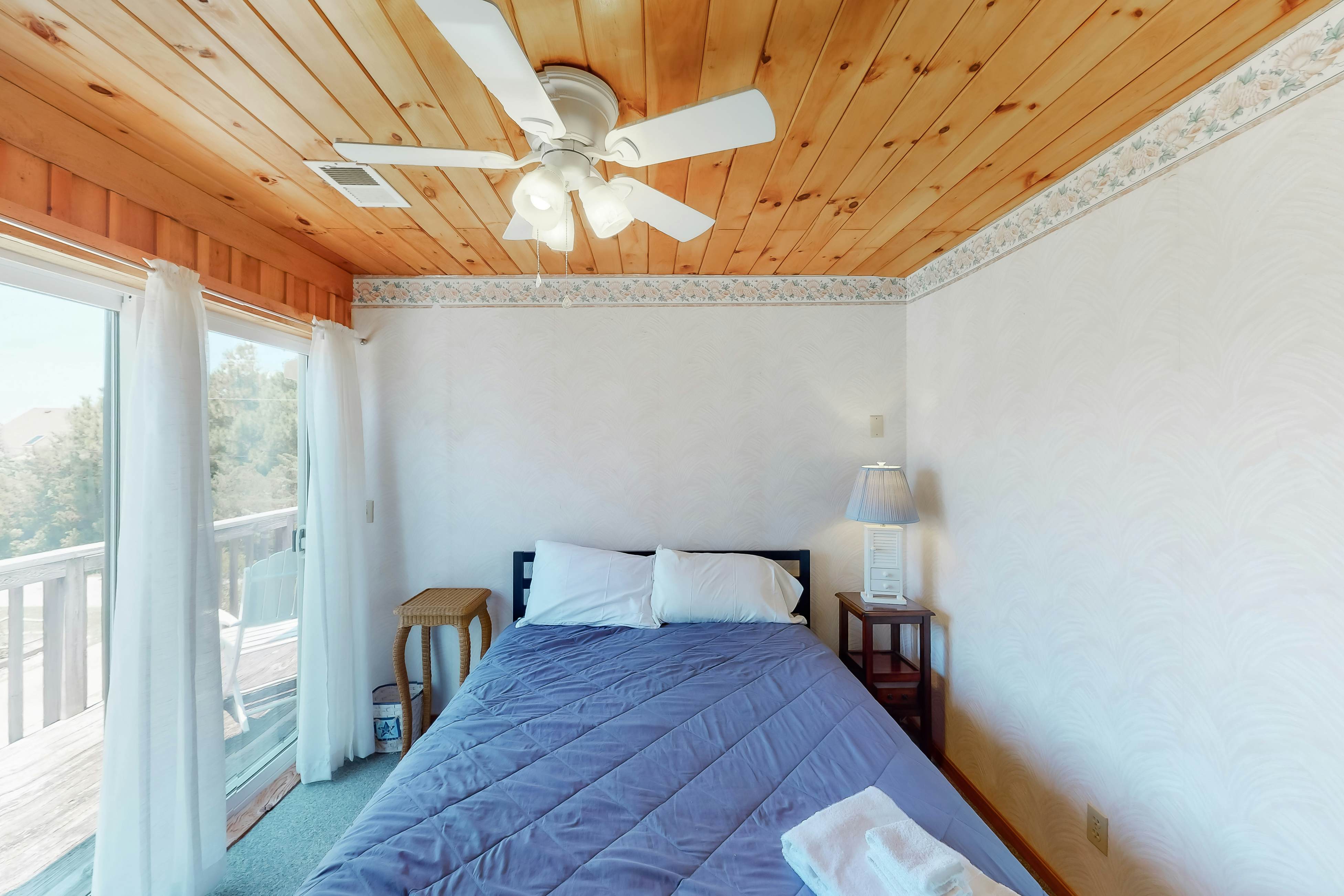 WVWSN23 44 Seashells