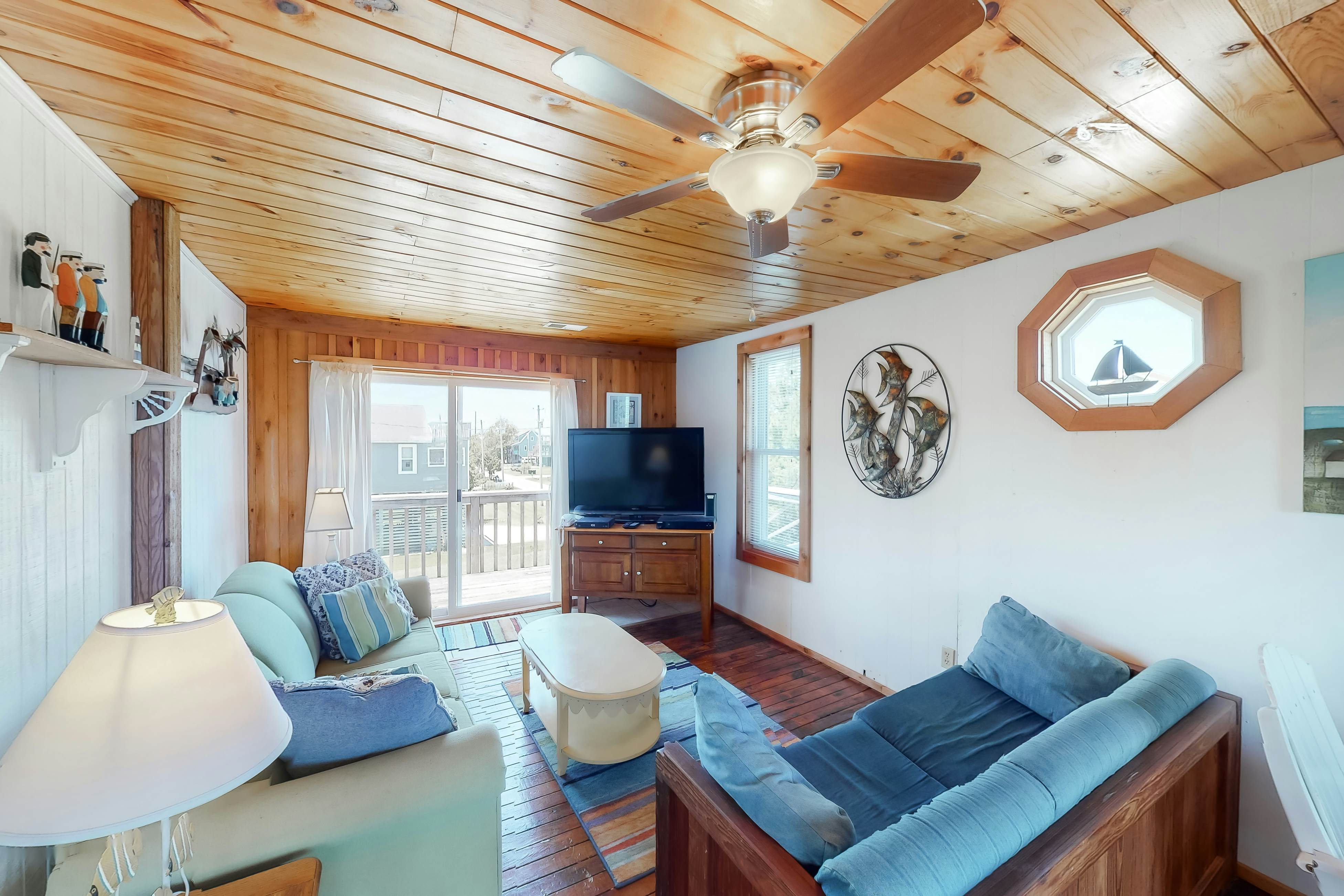 WVWSN23 44 Seashells