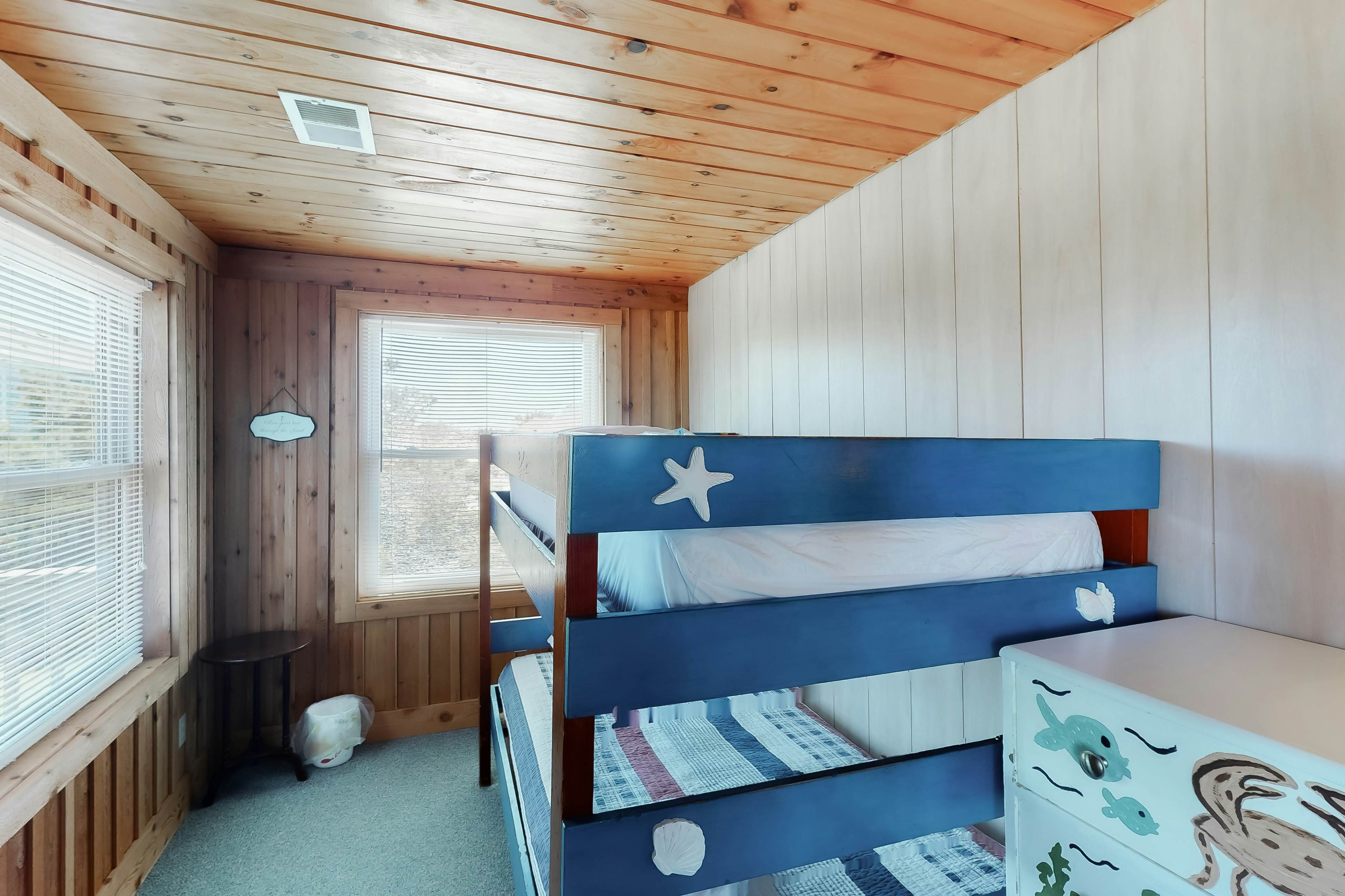 WVWSN23 44 Seashells