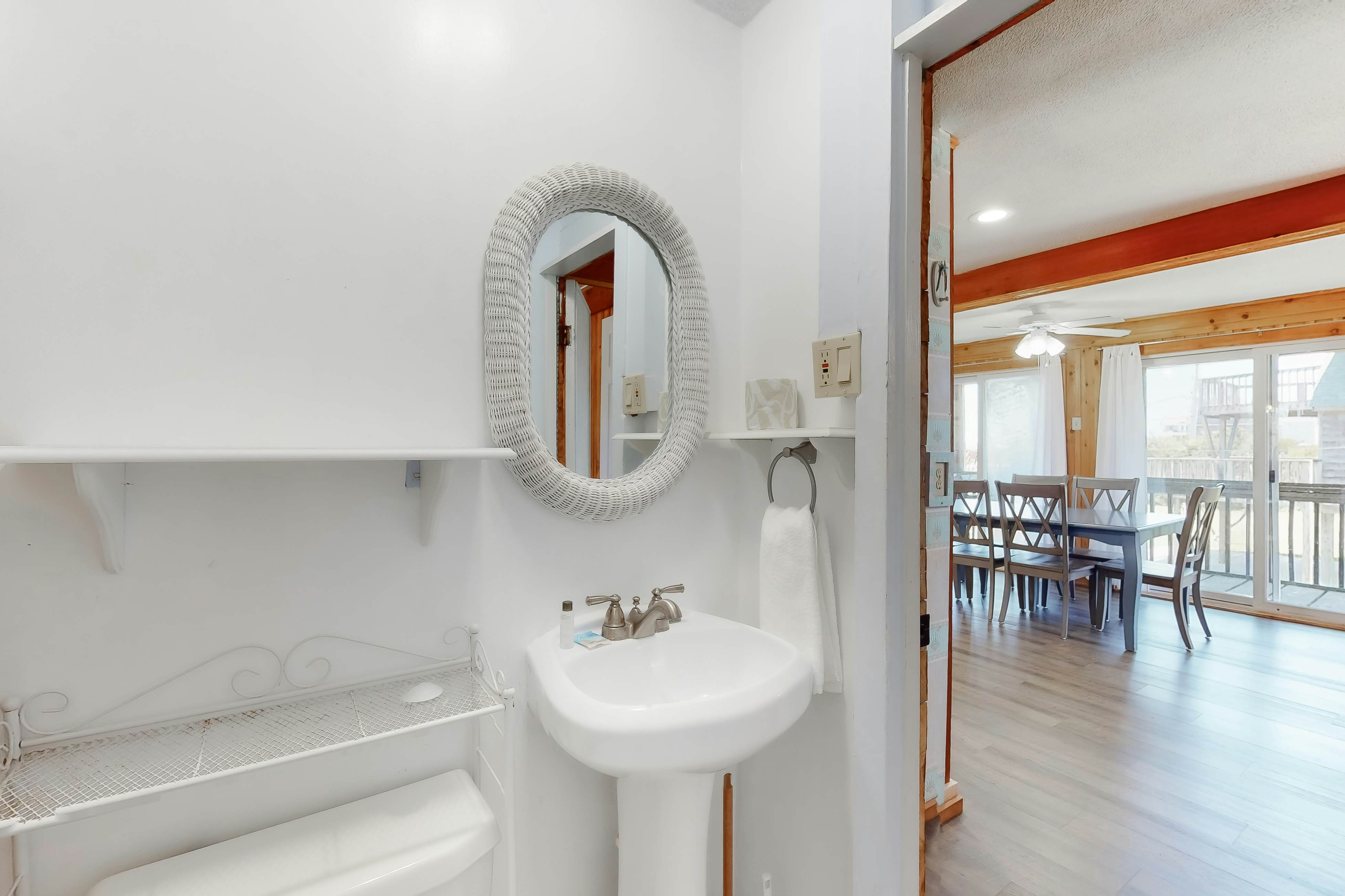 WVWSN23 44 Seashells