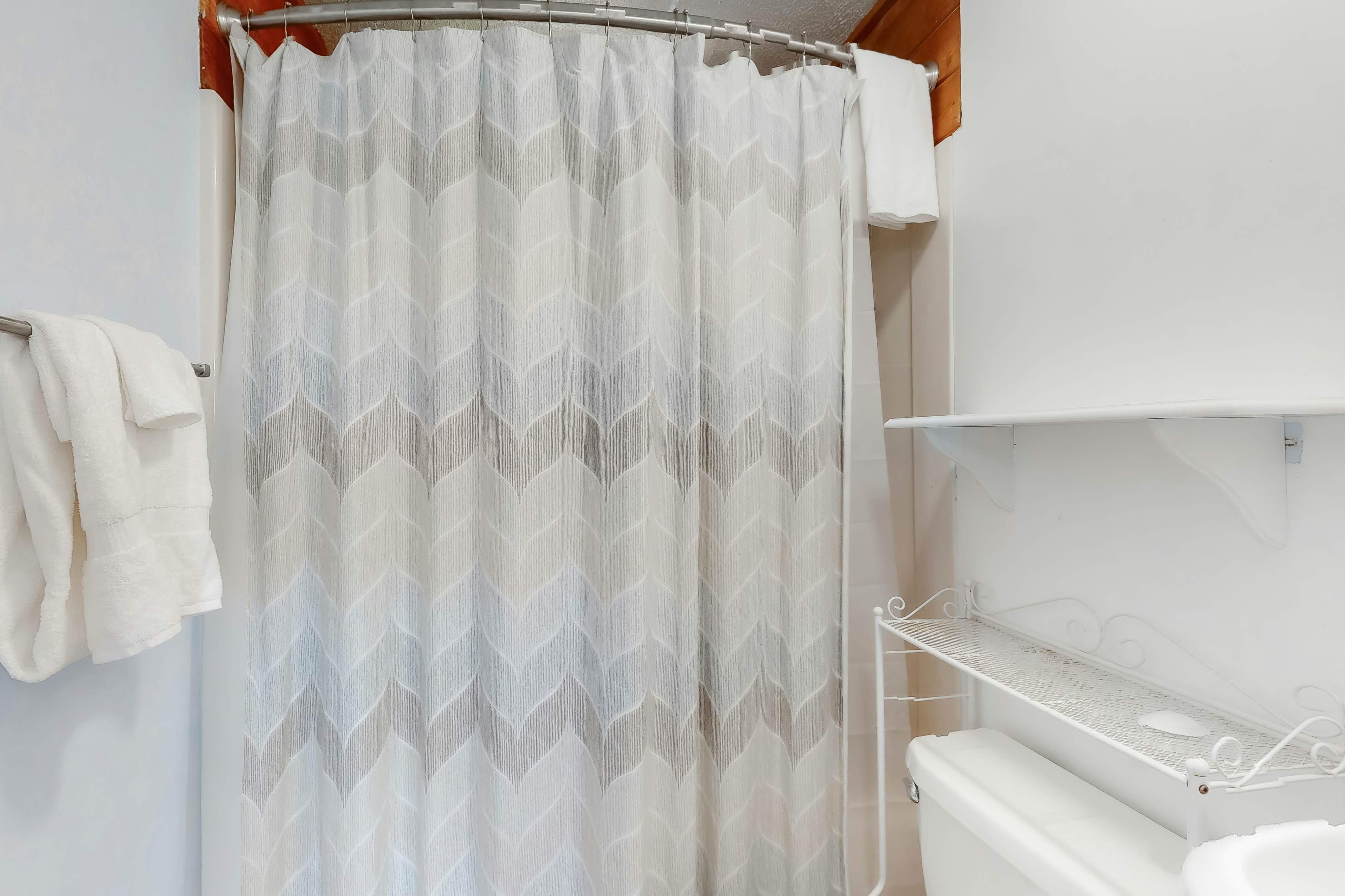 WVWSN23 44 Seashells