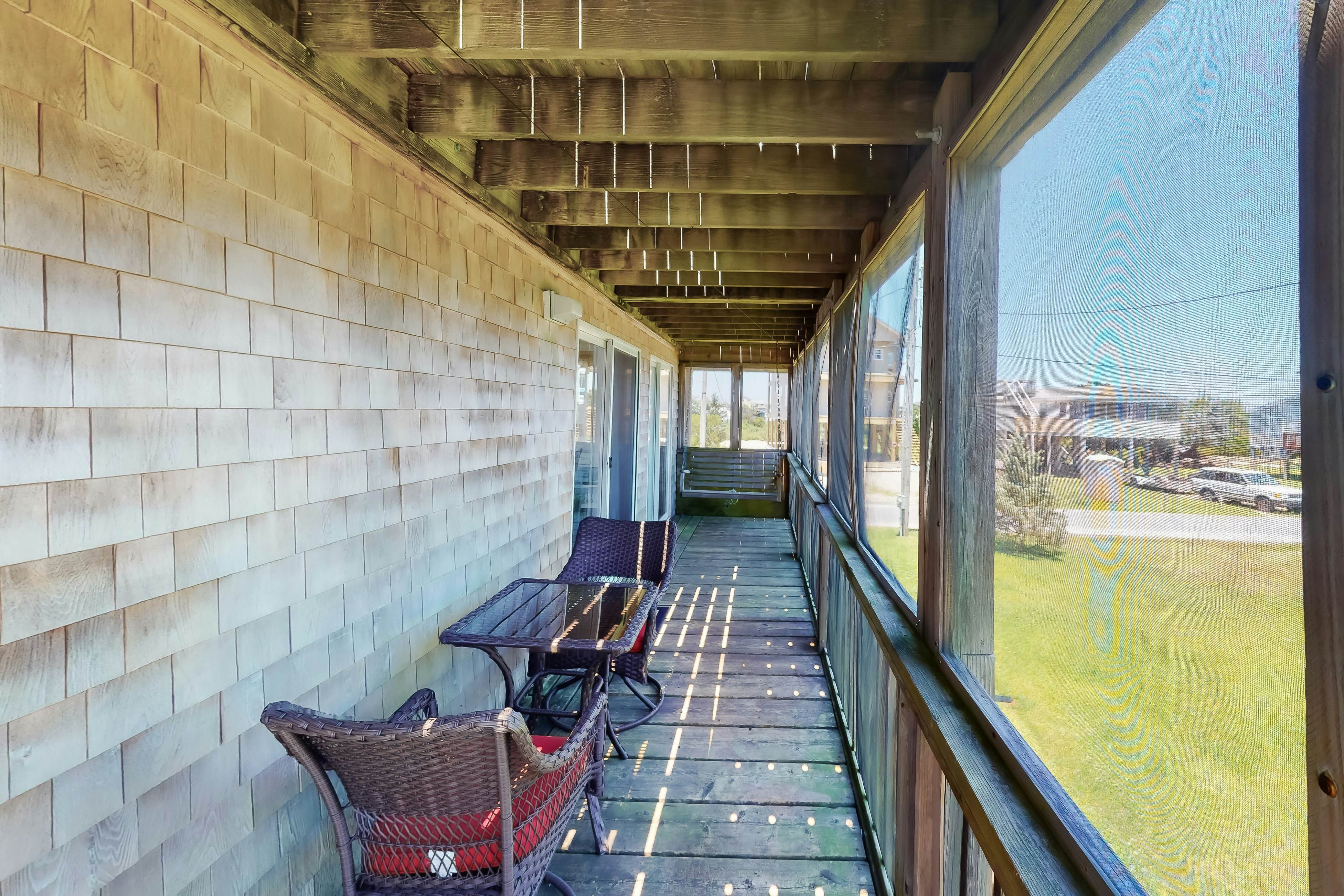 WVWSN23 44 Seashells