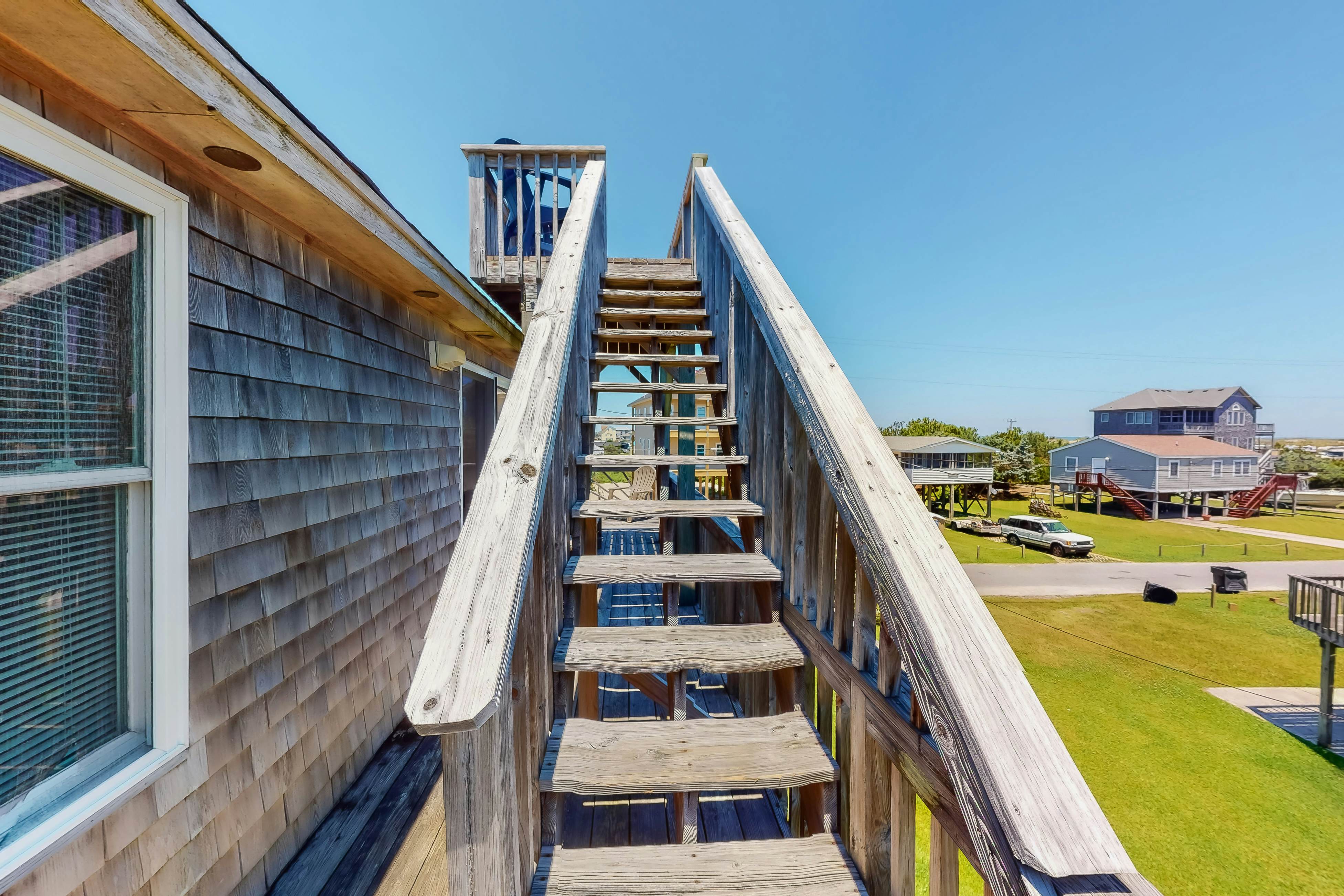 WVWSN23 44 Seashells