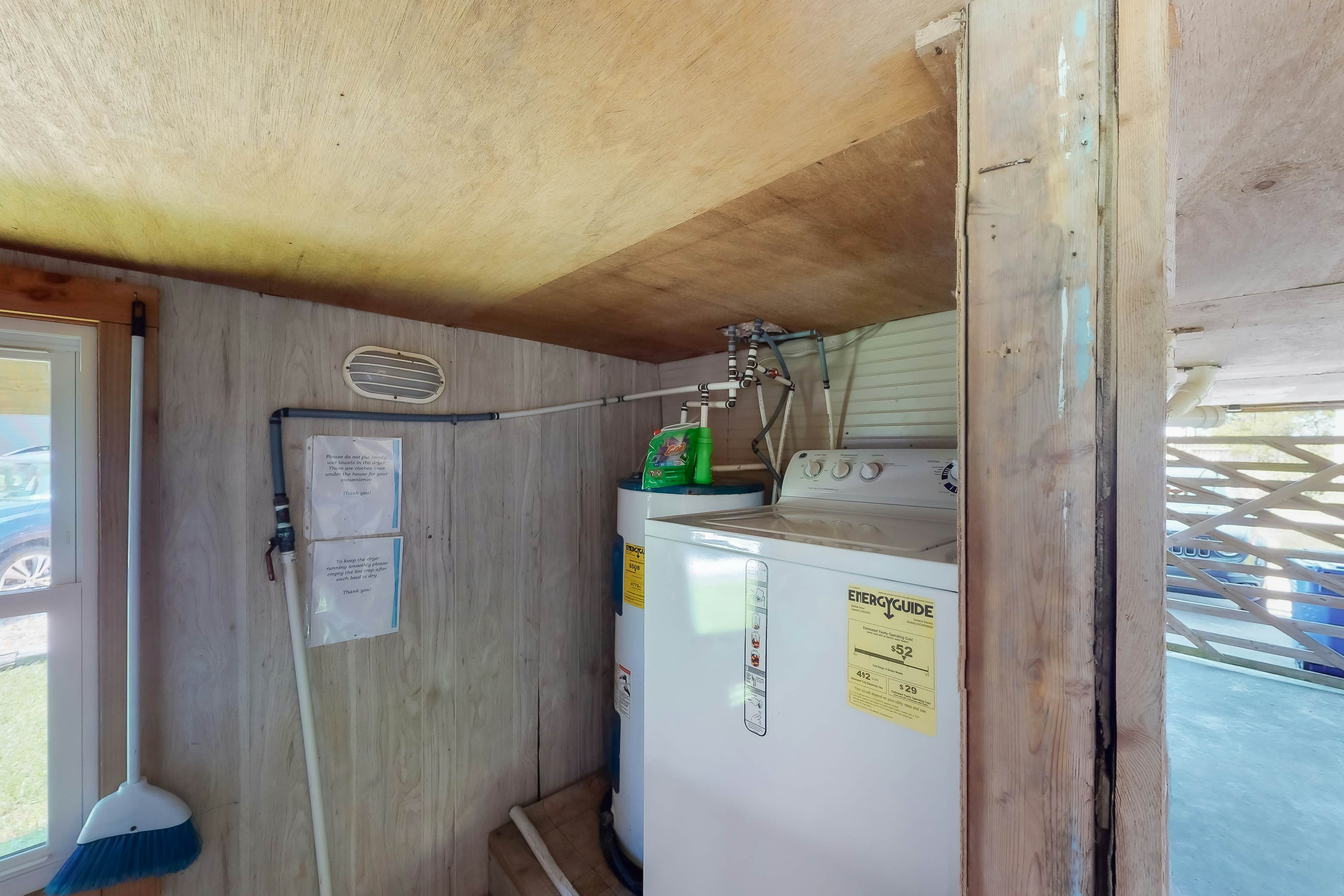 WVWSN23 44 Seashells