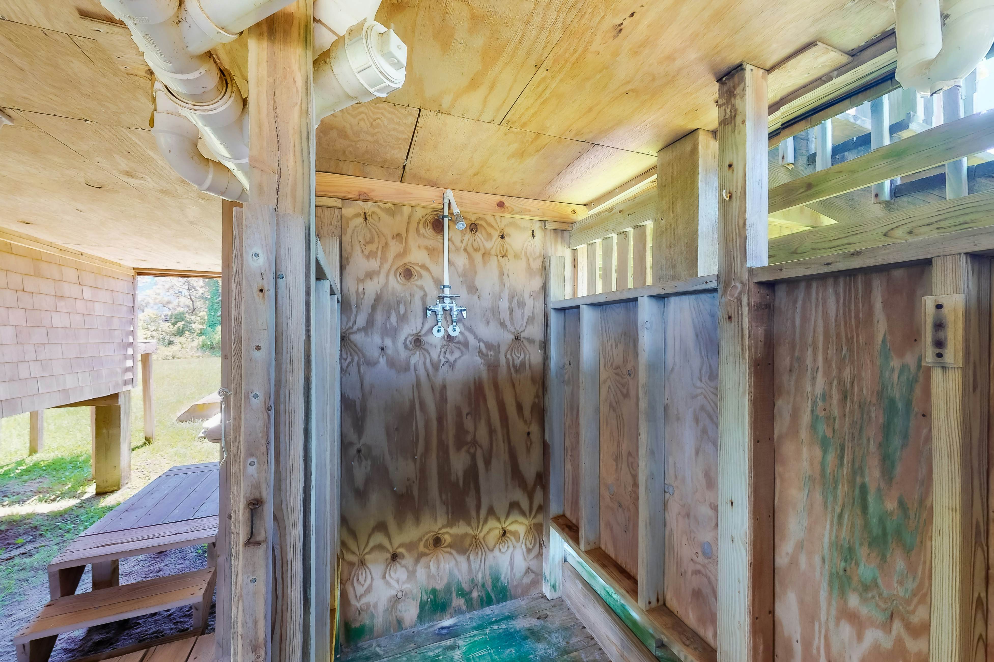 WVWSN23 44 Seashells