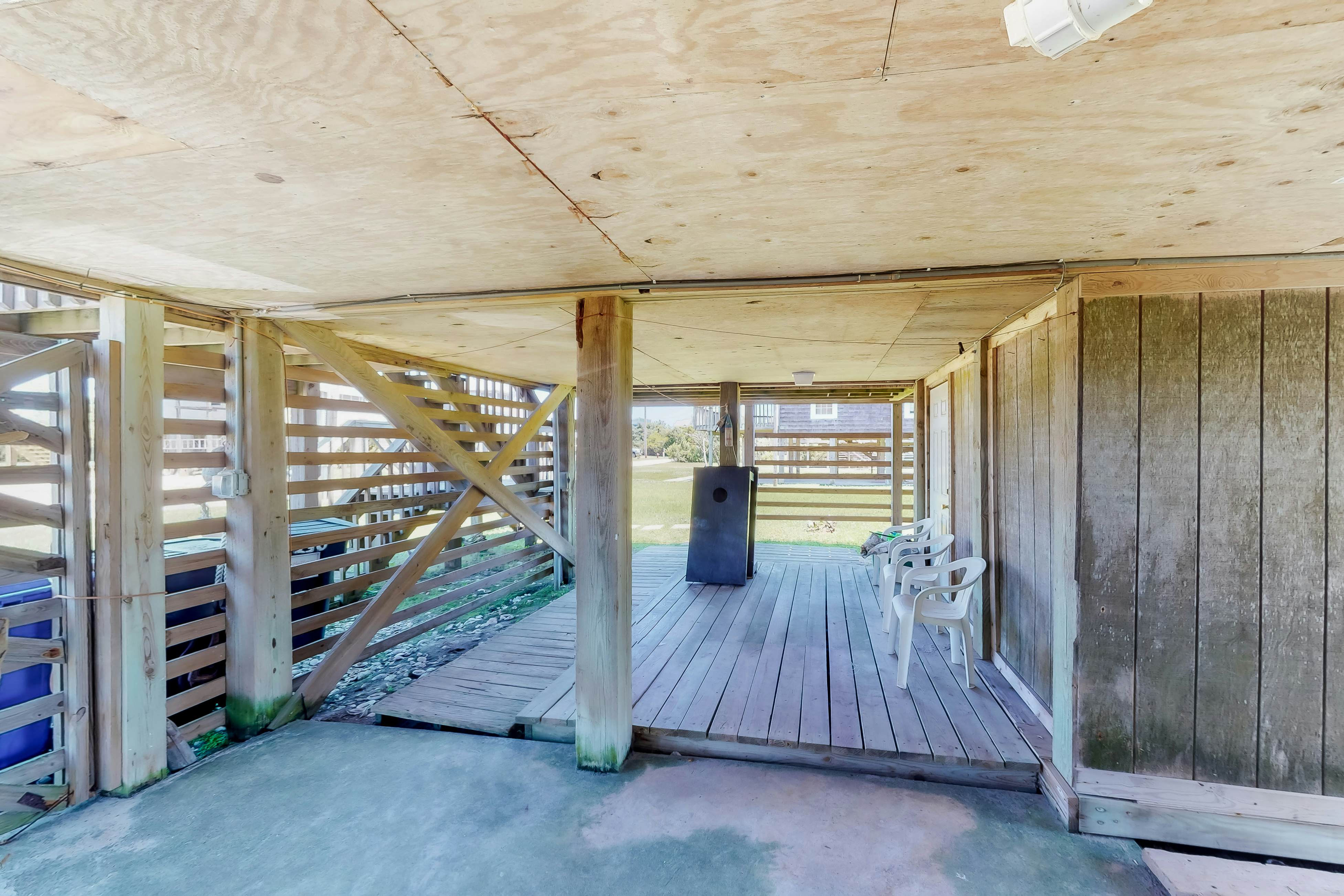 WVWSN23 44 Seashells